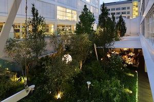 Il giardino in cui si mangia
