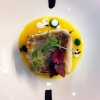 [p]Branzino con agretti, scorzonera e salsa d&rsquo;arancio piccante[/p]