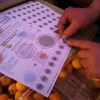[p]A ogni bollino corrisponde 1 euro: con [b]2 euro[/b] si pu&ograve; ricevere il ricettario con i menu di tutti gli chef, mentre con [b]5 eu[/b]ro si riceve la borsa con il logo del [i]Comune di Milano[/i] contenente anche il numero di maggio de [i]La Cucina Italiana[/i][/p]
