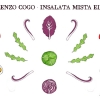Radicchio, verza, cappuccio, cavolo cappuccio, pomodoro ciliegino, dashi, mainonese... non manca nulla nell'Insalata mista di Lorenzo Cogo, chef d'El Coq di Marano Vicentino (Vicenza),&nbsp;+39.0445.1886367
