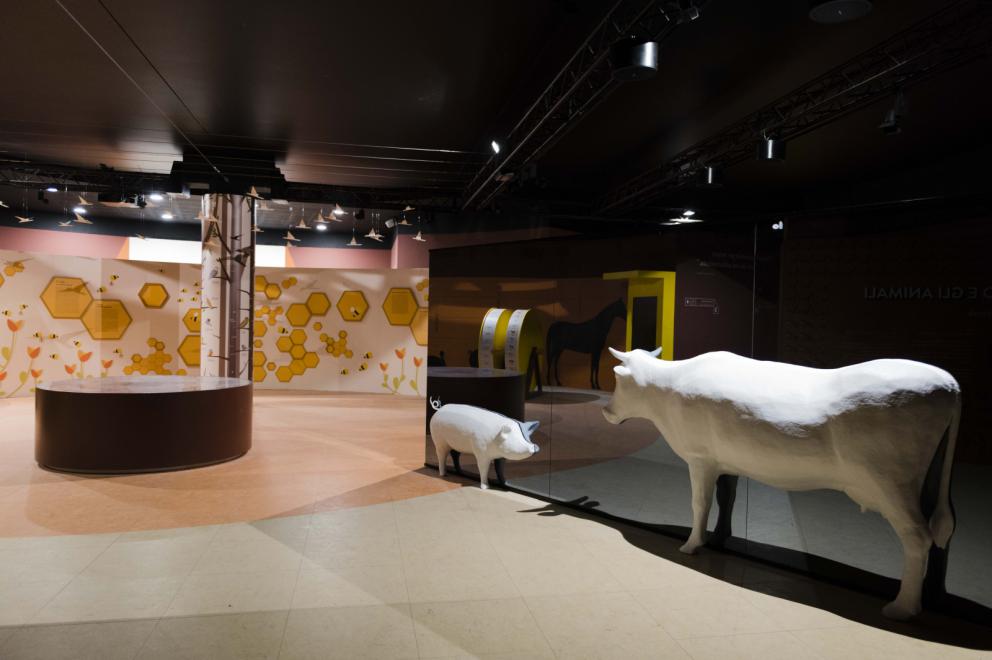 Galleria fotografica






La nostra gallery fotografica dal  FICO, la Fabbrica Italiana Contadina a Bologna. Tutti gli scatti sono di Brambilla-Serrani



















































