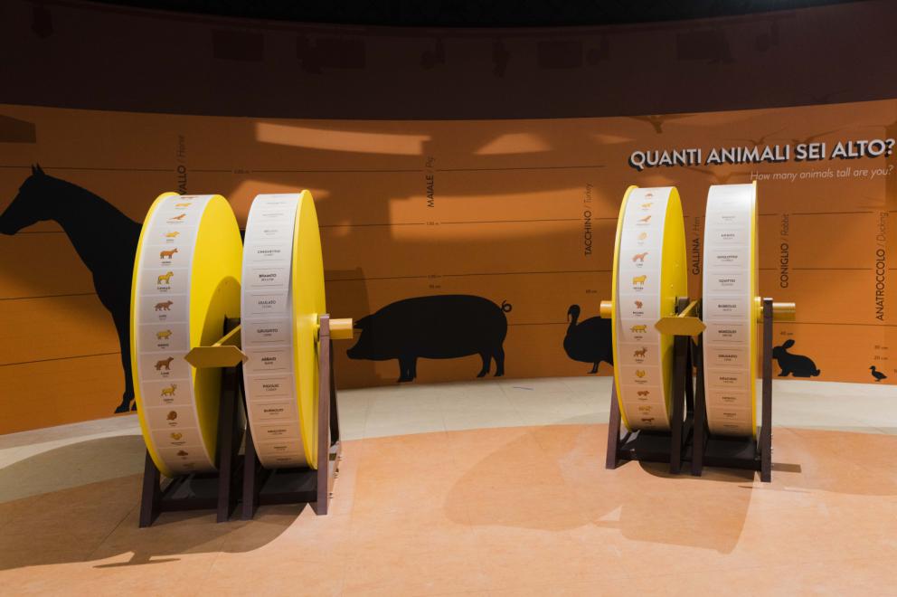 Galleria fotografica






La nostra gallery fotografica dal  FICO, la Fabbrica Italiana Contadina a Bologna. Tutti gli scatti sono di Brambilla-Serrani


































































