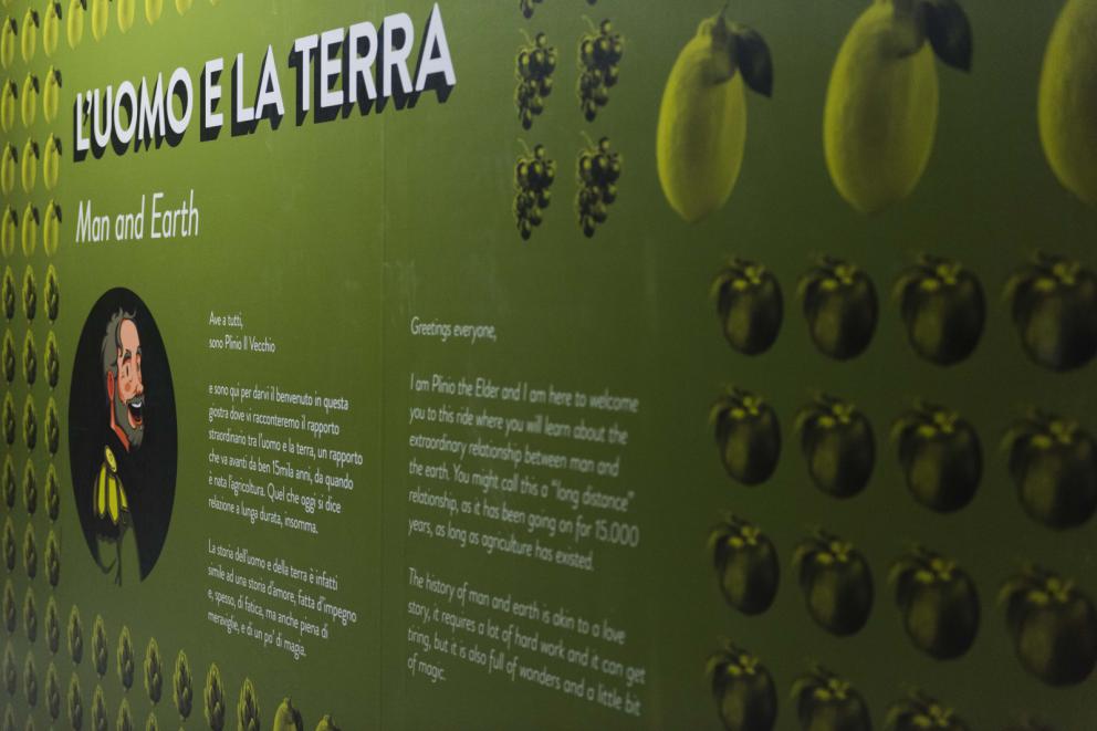 Galleria fotografica






La nostra gallery fotografica dal  FICO, la Fabbrica Italiana Contadina a Bologna. Tutti gli scatti sono di Brambilla-Serrani







































































