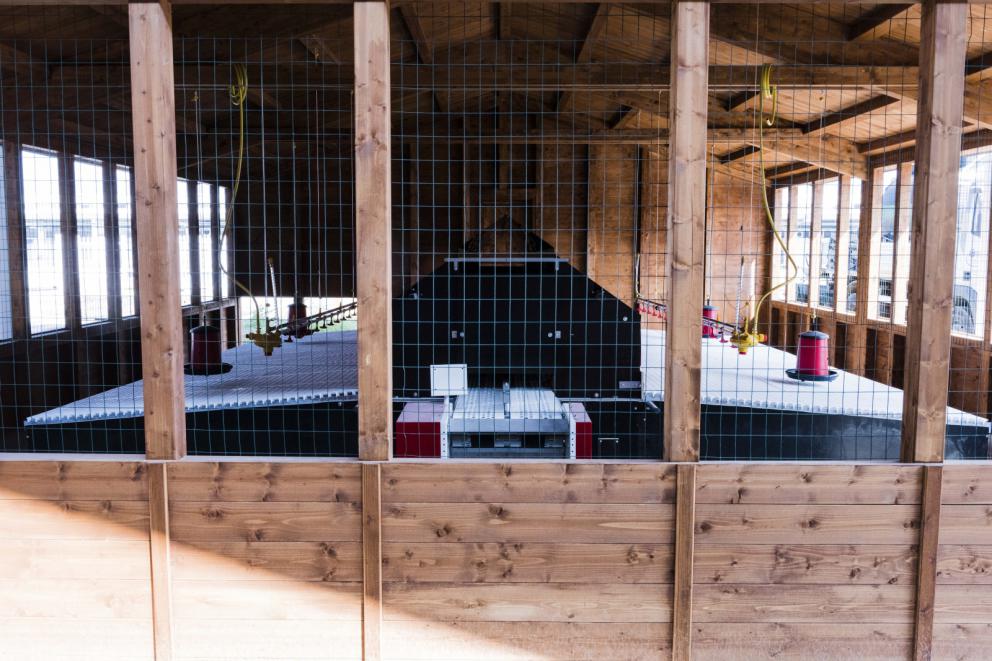 Galleria fotografica






La nostra gallery fotografica dal  FICO, la Fabbrica Italiana Contadina a Bologna. Tutti gli scatti sono di Brambilla-Serrani
































































































