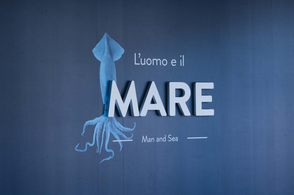 Galleria fotografica






La nostra gallery fotografica dal  FICO, la Fabbrica Italiana Contadina a Bologna. Tutti gli scatti sono di Brambilla-Serrani

























































































































