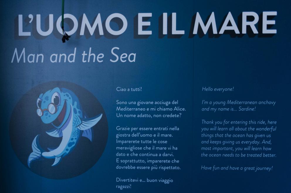 Galleria fotografica






La nostra gallery fotografica dal  FICO, la Fabbrica Italiana Contadina a Bologna. Tutti gli scatti sono di Brambilla-Serrani























































































































































