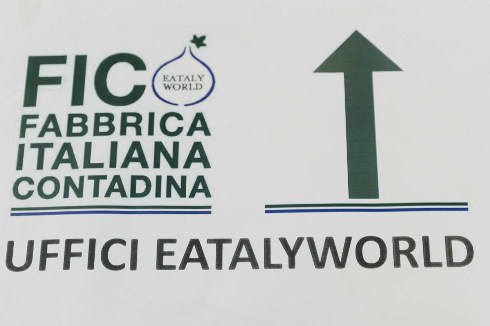 Galleria fotografica



