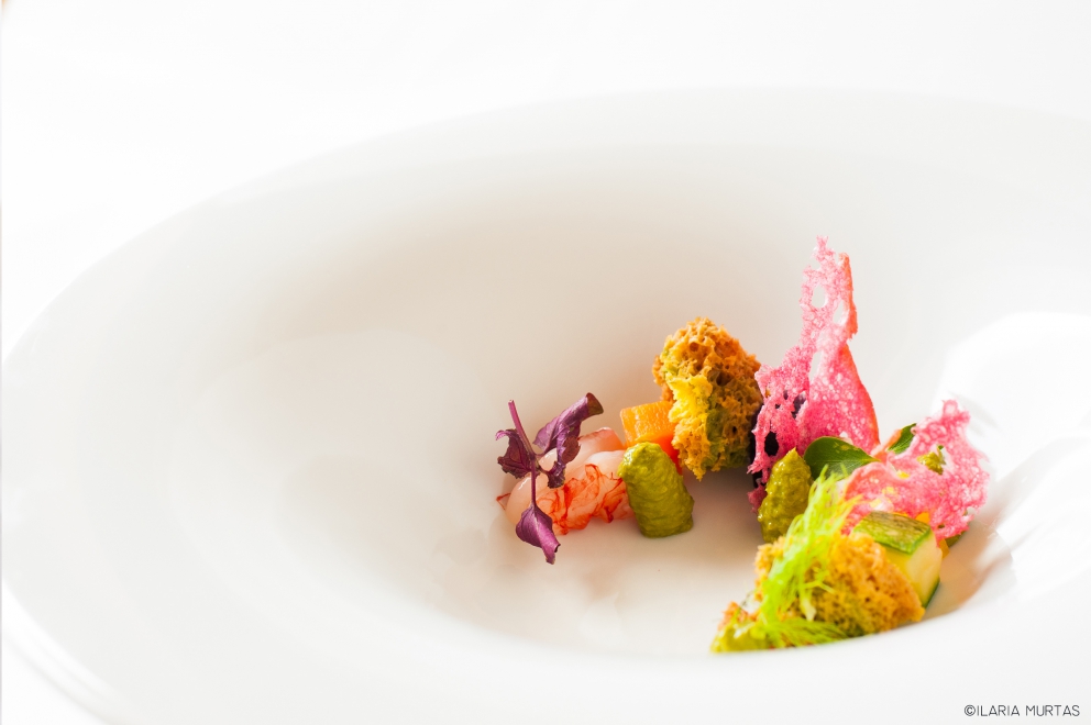 Galleria fotografica






Il Mio Crudo di Mare
 









Fondale Marino in carpione






