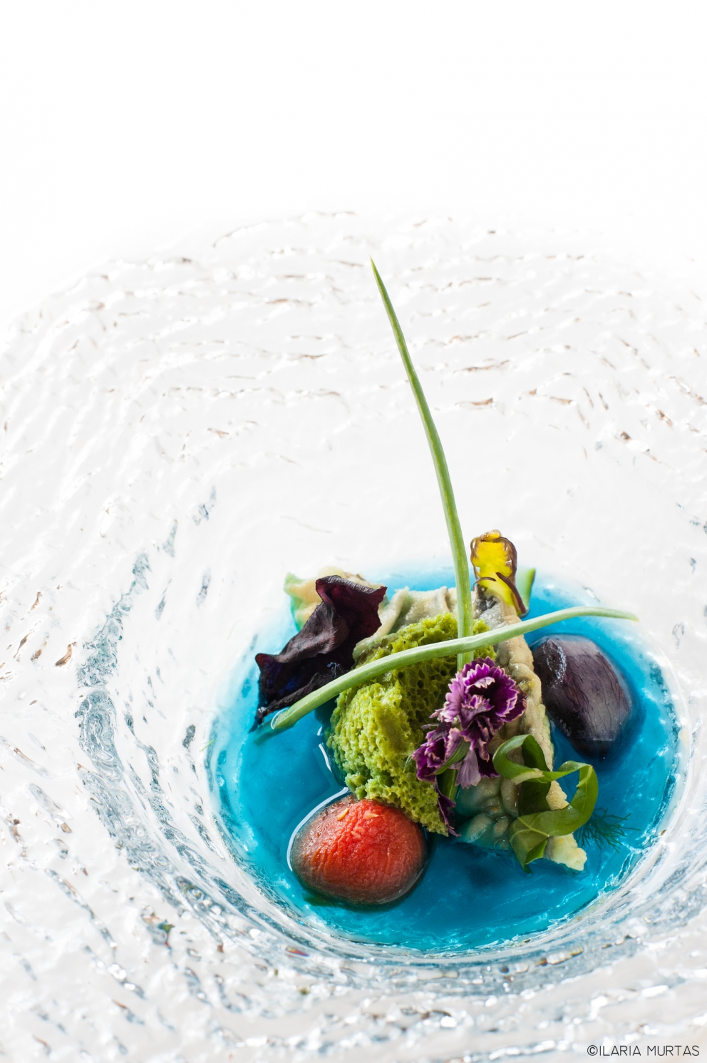 Galleria fotografica






Il Mio Crudo di Mare
 






