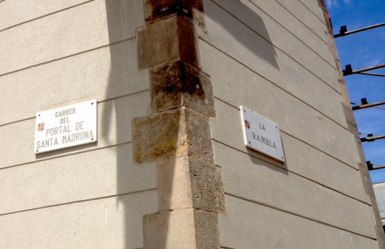 Galleria fotografica






Le prove generali








Prove del primo atto: al centro, il Bonsai di pica-pica















