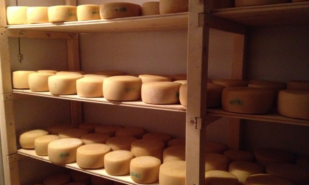 Giuseppe Carrus: «Il pecorino di Coile Scalas mi ha conquistato, riportandomi ai sapori dell'infanzia»