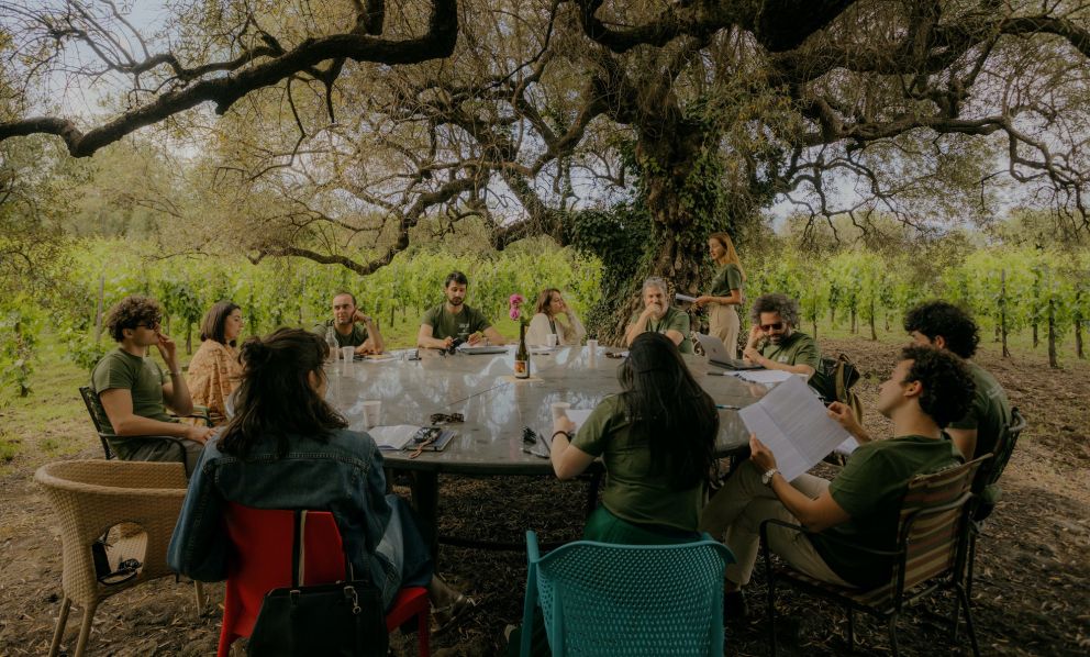 Che vino farà? La parola alla Generazione Z