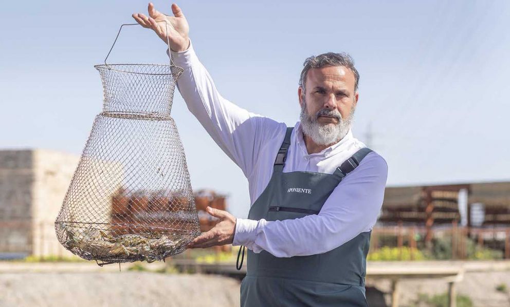 Aponiente, il ristorante in simbiosi totale con la natura e il mare attorno