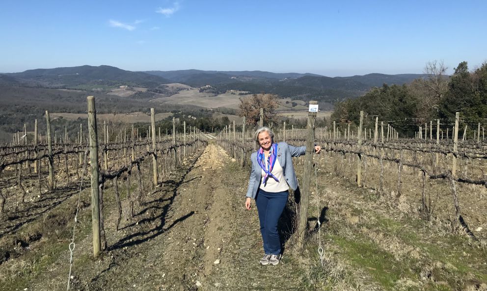 Tenuta Silvio Nardi e le tante facce del diamante Brunello