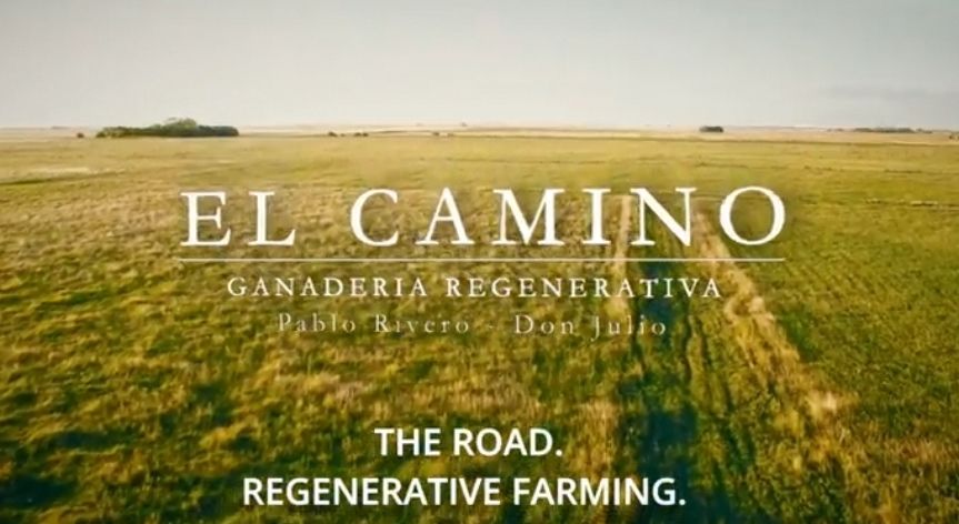 Pablo Rivero: regenerative farms is 'the Cammino' to follow 