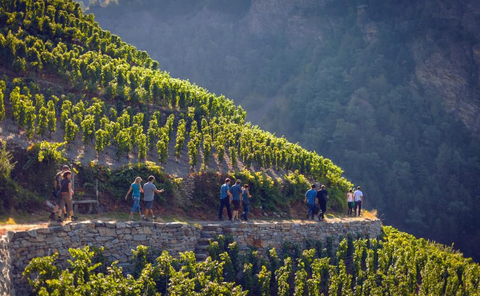 Svizzera meravigliosa - Otto itinerari da non perdere per scoprire il Vallese enologico (prima parte) 