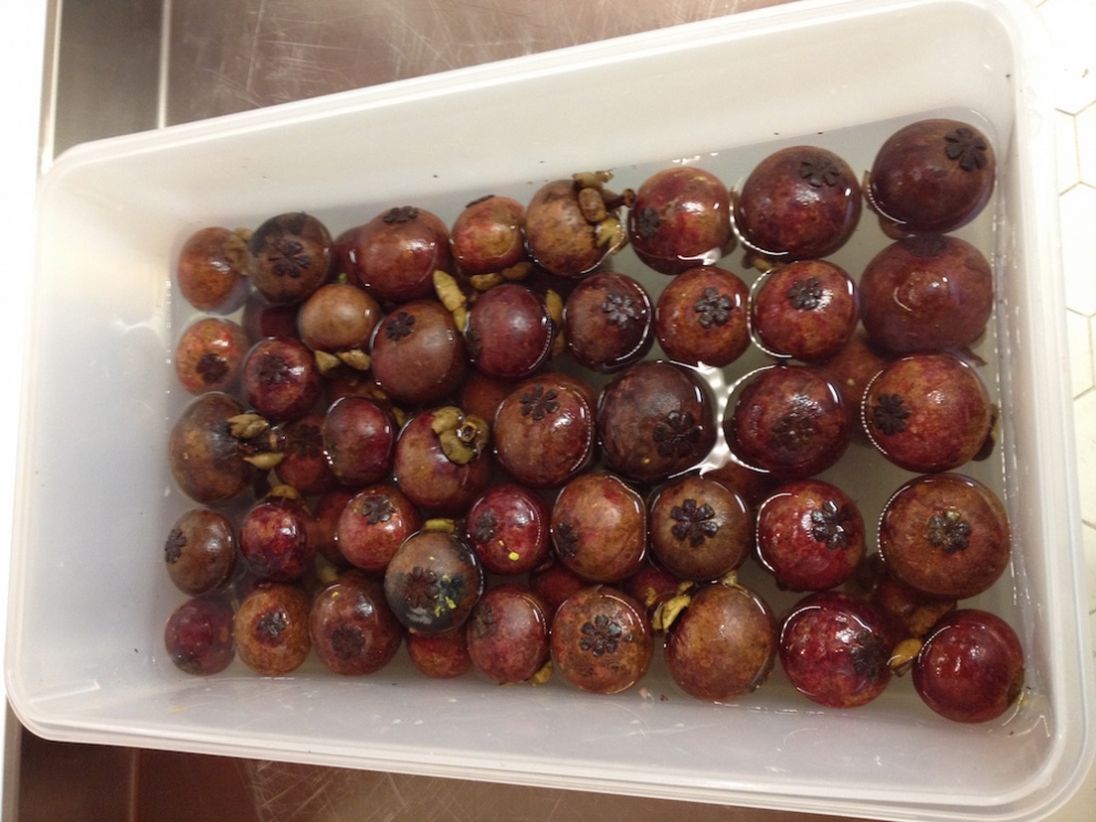 Galleria fotografica






PENSIEROSO. Ore 16.30 Massimo Bottura riflette in piazzale Greco prima del servizio








Il latte? Si utilizza solo quello che scade il giorno stesso








Frutta e verdura dall'Expo: ammaccata ma buona








Imperativo dietro le quinte: differenziare sistematicamente tutti i rifiuti








Men at work








Chili di fragole per il sorbetto finale. Le telecamere sono per un documentario che racconterà questi primi mesi di Refettorio Ambrosiano








Il pane è un dono di Jean Marc Vezzoli. Affetta Zanatta








Mise en place francescana








In cucina: l'australiano Beau Clugston (Noma) e la canadese Jessica Rosval (Osteria Francescana)





