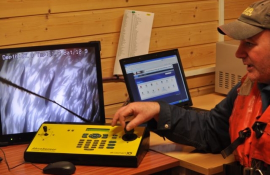 Galleria fotografica






Scozia, regione di Argyle, sud-ovest del Paese








Loch Fyne è il fiordo più noto di Argyle e anche il più lungo del Paese. Loch in gaelico significa "lago", fyne "fiordo"








Nei dintorni, colline dolci, larici, pini e abeti








Al largo si scorgono delle gabbie di acquacoltura








Disinfettare bene i piedi prima di salire sulla chiatta








Sulla chiatta, verso le gabbie dei salmoni








L’acqua in cui sguazzano i salmoni è pulita, filtrata, ricca di sali minerali








Ecco la gabbia: sono una decina in tutto, di larghezza variabile, profonde fino a 28 metri








Nuotano in circolo 30mila salmoni per gabbia. Ogni esemplare ha a disposizione 98,5 litri d’acqua per ogni chilo e mezzo di peso, uno dei più elevati del Paese








Ecco il salmone! Sono esemplari nati da uova di salmoni-riproduttori, pescati in mare e mantenuti in cattività nelle avannotterie





