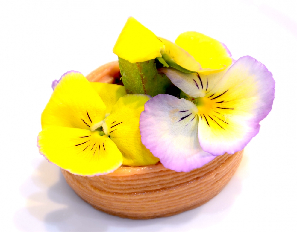 Galleria fotografica






La stampante 3D per alimenti Foodini









Sulla sinistra si notano i cinque caricatori con gli ingredienti, ridotti a crema









Uno dei piatti preparati da Oldani






