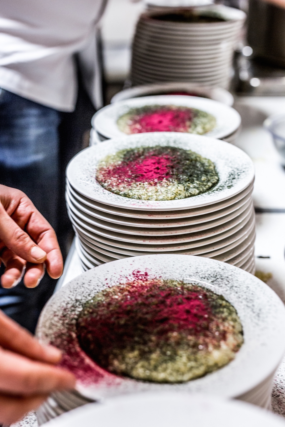 Galleria fotografica






Camilla Pietrantonio del Centro Clinico Nemo, infaticabile organizzatrice della serata









In cucina si prepara lo Sgombro Amarcord di Misha Sukyas del ristorante Puzzle: è marinato nel sangue di bue









I bun, panini al vapore, di Eugenio Roncoroni de Al Mercato









Alessandro Procopio del team Oldani, ristorante D'O di Cornaredo









Misha Sukyas e Matteo Monti del ristorante Rebelor del Pont di Milano









Con Sukyas e Monti, ragazze impegnate nell'organizzazione della serata Nemo. Seconda da sinistra, Daria Abbondi di Magenta Bureau









Il midollo alla brace, metà della pietanza che cucinerà Diego Rossi del ristorante Trippa di Milano









Diego Rossi ed Eugenio Roncoroni









Monti, Rossi, Eugenio Boer di Essenza (Milano) e Christian Milone della Trattoria Zappatori di Pienrolo (Torino)









Eruzione al limone di Roberto Di Pinto del Bulgari di Milano, assente giustificato causa viaggio di nozze






