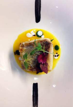 Photogallery






Anchovy staffed with salted codfish, lardo and tomato cake








Sicily king prawns with foie gras, fig and cocoa beans cream








Scallop with a crispy pork cracker, apple sauce and smoked potato








Risotto with red prawns, candied lemon and thyme








Foie gras tortelli with a leek and pumpkin cream





