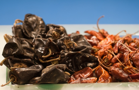 Galleria fotograficaAbigail Mendoza, cuoca del ristorante Tlamanalli di Oaxaca in MessicoAndoni Luis Aduriz, padrone di casa a Gastronomika e cuoco del Mugaritz di Errenteria, Paesi BaschiJuan Mar&igrave; ed Elena Arzak, padre e figlia del ristorante che porta il loro cognome a San Sebastian, Paesi BaschiA destra Rodrigo Oliveira, cuoco del Mocot&ograve; di San Paolo in Brasile, altro protagonista di Identit&agrave; Milano 2012Lo spettacolare lungomare della Concha, nota spiaggia di San SebastianIl brasiliano Claude TroisgrosI pomodori disidratati di Josean Alija, cuoco del Nerua, ristorante che &egrave; parte del Museo Guggenheim di BilbaoIngredienti autoctoni carioca presentati da Roberta Sudbrack, cuoca di RioQuique Dacosta, cuoco del ristorante omonimo di Denia, vicino a Valencia in Spagna