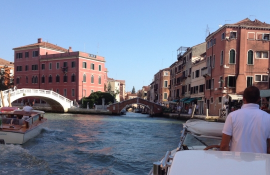 Galleria fotografica



