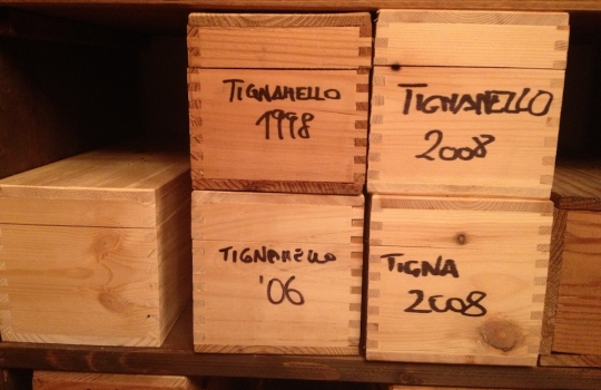 Photogallery






 
Modena’s colonnades, 186 thousand inhabitants and 3 restaurants with at least one Michelin star: Hostaria del Mare (1), Erba del Re (1) and Osteria Francescana (3 stars), our destination
 








Yellow and red tones prevail








The city still bears the signs of the May 2012 earthquake. On May 4th 2013, the day of our visit, a 3.8 magnitude earthquake was registered













By chance, Giuseppe Palmieri, maître and sommelier, appears from the grey door








Palmieri, 38, born in Matera. His first service in Francescana was on September 12th 2000








The old entrance to the restaurant, at number 24 in Via della Stella - as on the opening in 1995. It changed in September 2012: today you enter from number 22. Funnily enough, Google Maps is still set on the old entrance








The present entrance doors








Let’s start








After the latest renovations, the transit areas inside the Osteria appear as a contemporary art gallery








Mario Schifano’s world map








"Tourists", Maurizio Cattelan’s famous pigeons








Underneath the pigeons, Gavin Turk’s “Trashbag”








Three rooms, 12 tables, between 20 to 35 guests. 40% guests are Italian








Every table is illuminated by Davide Groppi’s Sampei lamp: if tables are moved, light follows








Francescana receives 150 reservations every day. But it also suffers from clients not showing up: on average, one table every week is booked but then guests don’t come








Right behind the kitchen, there’s the prêt-à-porter cellar








"In the central cellar, we only keep great vintages and larger bottles of what we consider to be great wines", Beppe Palmieri explains






