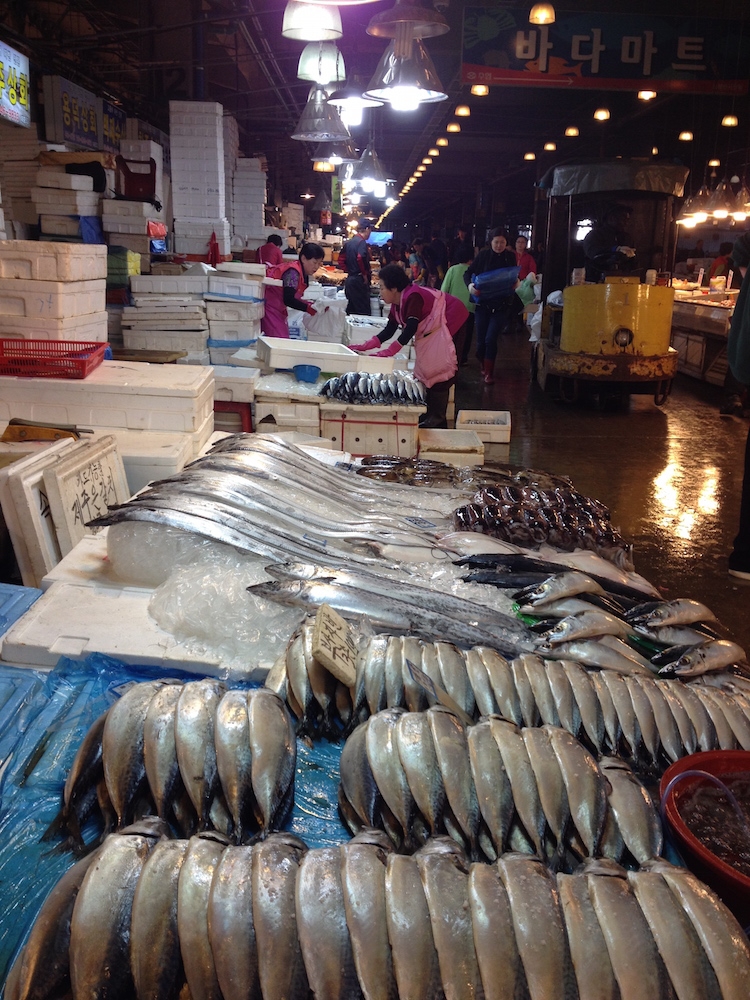 Galleria fotografica






Panoramica dal 32mo piano del Lotte Hotel di Seul. La capitale della Corea del Sud (che i locali pronunciano "sol"), con 10 milioni di abitanti (25 considerando tutta la proncia di Gyeonggi) è tra le città più popolose al mondo








Sfigurata nel Novecento dai Giapponesi (prima parte del secolo) e dalla guerra di Corea (1950-1953), oggi Seul ha un aspetto moderno, piuttosto occidentale








Con decine di milioni di turisti all'anno, Seul è tra le 10 città più visitate al mondo. Nella foto, una delle attrazioni più viste in città: il Dongdaemun Design Plaza, progettato da Zaha Adid e Samoo e completato nel marzo del 2014
 








A passeggio per il quartiere di Myeongdong, molto frequentato anche per l’alta concentrazione di ristoranti








Il viaggio era cominciato bene: tra le opzioni commestibili sui voli di Korean Air c’è proprio una squisita Bibimpap, con tanto di foglietto illustrativo








Bancarelle all’ingresso del mercato Namdaemun, tra i più popolari di Seul. Chiunque può andare e comprare; non occorrono licenze








Namdaemun, trippa a mollo








L’affitto di una bancarella al Namdaemun costa circa 2.000 dollari americani al mese, ma consente un ricavo medio mensile di almeno il doppio








Cozze giganti, molto popolari sulle tavole coreane








I mercati sono sterminati, molto puliti e per nulla caotici








All’interno del mercato, c’è anche un ristorante molto spartano e molto buono. Serve di tutto: hoe (pesce crudo), kimchi (verdure fermentate), guk tang (zuppe), bibimpap…








Baek kimchi: cavolo stufato con rape bianche, pere, prezzemolo coreano. Talvolta è servito anche con le castagne








Scodella di Bibimbap








Uova di quaglia bollite, aglio e edamame








A chiusura del pasto, ecco una bella zuppa fumante (erano le 8 del mattino)








Zuppa di alghe e merluzzo








Mingles, sulla Cheongdam-dong nel quartiere di Gangnam-gu, è l’indirizzo più interessante di cucina coreana contemporanea. L’ha aperto poco più di un anno fa Mingoo Kang, tornato a casa dopo esperienze da Martin Berasategui e da Nobu Bahamas








Mingoo Kang propone un solo menu degustazione da 88.000 won (circa 70 euro). Ognuno dei piatti contiene sempre un elemento fermentato








Mingles esprime un approccio creativo fondato però sulle salse fermentate, pilastro della cucina coreana tradizionale: cho (aceto), gan-jang (salsa di soia), gochu-jang (pasta molto piccante di peperoni rossi, fagioli di soia bolliti e sale), doen-jang (pasta di fagioli di soia), erbe e spezie








Composizione iniziale di amuse bouche. Da sinistra a destra: Polpo, foglia di senape e pasta di aioli fermentata; Gelatina di bacche omija, zuppetta di asparagi bianchi, mirtilli e spuma di aceto nero e Pera arrotolata nella sogliola (salsa di gochu jang marinata nello yuzu), uva e peperoncino








Sandwich di fegato di rana pescatrice in sfoglia di miele su chip di funghi








Insalata di noodle di riso con senape coreana, spuma di tofu, alghe marinate, abalone e aragosta








Torchon di foie gras marinato nel doen jang (pasta di fagioli di soia), vino di prugne dorate corane e kimchi bianco








Branzino al vapore con calamari mignon brasati in cima e alga combu, brodo di alghe, granchio e kimchi bianco








Cracker di alghe e tapioca con polvere di tartufo, uova di salmone, melanzana e purea di mango








Noodle di umami (capelli d’angelo, pasta di alghe e inchiostro di seppia), brodo di pollo e pesce, spuma di lemongrass, ricci di mare, ostriche fritte e gambero








Per dessert, Crème brulee di jang tro, pican di gan-jang, gochu-jang, gelato alla vaniglia e spuma di whisky








La squadra del ristorante Mingles fa festa a fine cena coi colleghi dell’Osteria Francescana. Al centro, Massimo Bottura, presenza illustre del Seoul Gourmet Festival (leggi qui)








Al centro, Vivian Han, patron del ristorante Congdu, uno dei più quotati in città, il posto ideale esperire la doppia anima della cucina coreana, tra la tradizione e una avanguardia moderata. Con lei si riconoscono lo chef Hwan Eui Lee e Chris Kwon, regista di sala (foto David Rosengarten)








The bella veranda del ristorante Congdu, indirizzo 116-1 Deoksu Palace








Spalla di maiale Jeju cotta in bassa temperatura per 48 ore con gimchi invecchiato








Carpaccio di manzo con 3 tipi di salsa di soia stagionata, caviale e insalata di fiori








Il cocktail più noto del Congdu: makgeolli di fagioli neri e ginseng rosso invecchiato 6 anni








AND dining, il ristorante di Jinmo Jang, si trova sulla Hannam-dong, quartiere di Yongsan-gu, quartiere vivace ad alto tasso hispter nella periferia meridionale della città. Si accede al ristorante di fine dining da una porticina, dopo aver passato una caffetteria da colazione








E’ un bancone di soli 8 coperti in tutto, con 3 persone in cucina. Solo menu degustazione da 130.000 won (105 euro circa)








Jinmo Jang, 30 anni, e il suo sous chef ByeongCheol Mun, 21 anni. La cucina di AND parte da una base coreana ma poi spazia in tutto il mondo, con richiami alla Nordic Cuisine e ampie parentesi anche al tecno-emozionale di stampo spagnolo (sifoni, maltodestrine, eccetera)








Amuse bouche: Minisandwich di mela e formaggio di capra, croquette alla carota e arancio, latte di tigre e tuorlo d’uovo al tartufo. Sotto, tartufo al cioccolato e gochujang








Tartare di capasanta con latte di ricci di mare e neve








Sea ("mare"): sabbia edibile di aringhe affumicate, alghe, olio di fagioli fermentati con maltodestrina di tapioca. Il tutto è servito con gamberi al vapore, lumache di mare, vongole, ostriche feremntate e tunicata








Abalone e uova di triglia disidratate








Anatra su salsa di bietole








Peperoncini all’ingresso del Noryangin, l'altro monumentale mercato della città (con wi-fi pubblico)













Tunicata (sea squirt in inglese), mollusco molto popolare in Corea: tolto l’involucro gommoso, si preleva il contenuto e si frigge








Enorme la varietà di granchi coreani, buonissimi se fermentati nella salsa di soia (Gankang-gejang)








Prawns in fila








Granchi reali








Echiurodei (spoon worms in inglese), altro mollusco diffuso








Gianchetti essiccati. Nessun posto al mondo vanta una varietà così sterminata di pesce essiccato








Variazioni di peperoni rossi fermentati, un vero simbolo della cucina coreana






