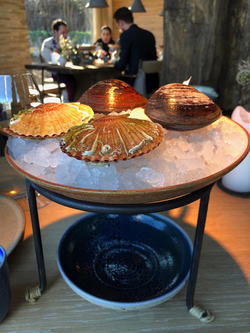 Photogallery






Noma 2.0 is in Christianshavn, the same neighbourhood as the first Noma. They’re 1.5 km apart, a 15 minutes’ walk. This picture shows the distance: to the right, there’s the warehouse of the old location (in Strandgade 93), to the left the smokestacks of Amager Bakke, the futuristic incinerator below which stands the new Noma (in Refshalevej 96)









Weather permitting, you can have a peaceful walk between the previous Noma to today’s Noma 









The new Noma is on an isthmus surrounded by canals. In the future they also want to reclaim some small parts for hydroponic farming









Bucolic scene with incinerator









Bikes left outside Noma. It’s the favourite means of transport among employees and interns









The long path taking you to the restaurant. The fence on the left shows how works are still in progress









On the two sides of the path there are the two new sections of the "Noma village", each with its specialty: grill, hot dishes, snacks, fermentations... In one month’s time, behind the fence we’ll have greenhouses, the test kitchen and the bread making area









To the left, before arriving at the restaurant, the future test kitchen. This will be run by Danish Mette Søberg with Riccardo Canella. "My first challenge?", reveals the latter, for a long time sous chef here, "is to work on the extraction of essential oils" 









The future Test Kitchen









The temporary gangway to the restaurant









Looking from the door to the restaurant, there’s a lake and the smokestacks puffing vapour from the Amager Bakke incinerator. It’s a futuristic project, both in terms of sustainability and architecture. It’s also known as Amager Slope or Copenhill, and its author is starchitect Bjarke Ingels, the same who designed the new Noma. Gradually opened in 2017, it transforms waste into electricity. The goal is to donate electricity to 62500 houses and hot water to 160000. It’s part of an ambitious project to transform Copenhagen into the first city in the world in terms of zero carbon dioxide emissions by 2025. By autumn this year, Amager Slope should open its ski slope, a climbing wall and a hiking track. You’ll be able to slalom on top of the incinerator









The windows from the dining room









Work is still in progress (photo taken on Thursday 22nd February 2018)









Traces of the old building, with barbwire. During WWII, they built bombs here









A view of the dining room at night (photo from Instagram/James Spreadbury)









The entrance to the restaurant









The usual ritual: a welcome from the entire staff, led by Rene Redzepi 









Behind the entrance, there are formaldehyde tanks with creatures from the abyss, shaped as in Damien Hirst’s works. The first image once you’re inside is to reproduce a Scandinavian village









The service kitchen is larger, more spacious and a completely open view from the dining room: "It’s the heart of our Scandinavian village", says Canella. There are 30 cooks working here now. 10 more, compared to the previous Noma









Large skylights above the cooks









There are currently more than 100 people working at Noma, of whom 63 are cooks - 26 employed, and 37 as interns









There’s fire in the kitchen, for the first time









On average, the dining room can host 40 people. "However", complains Redzepi, "there’s always someone who turns up with more people than the ones booked"









While the dining room is set, the outside space still need to be defined









The staff made the dining room decorations. There are no overly expensive designer objects









Dried fish









Seaweeds hanging from the ceiling









Dried octopus heads preserved in salt (with a balloon inside)














Bjarke Ingels and Redzepi’s plan included the wish to recreate a Danish farm









The luminous private dining room









The counter in the dining room. They drew the beams from the canals around the restaurant














The mise en place, bare and strictly without tablecloths









Water jug, candle, flower vase









A warm cloth, to begin with









Australian James Spreadbury, restaurant manager and partner at Noma









Welcome drink: Champagne extra brut Blanc d'Argile from Domaine Vouette et Sorbée









Sea Snail broth. The welcome dish at Noma is, as usual, a hot “soup”









Stefano Ferrano, from Torino, presents the following dish. There’s always a large Italian colony at Noma









Venus clams. Molluscs from Limfjord (Denmark) mixed with decorative clams, typical of Noma. Beside them, shells with blackcurrant oil and “Danish curry”, made with toasted coriander seeds, fennel and fennel seeds









The lid above the following dish. The mussels are not edible









Best of the mussel. Mussels open in a pan with water of fermented barley. «We recreate the mussel», says Canella, «using just the flaps, the best part». The paste is made with scraps from the mussel, cooked in smoked butter









The next dish is conceived and served by Riccardo Canella, the Paduan sous chef who conquered Redzepi, here with dining room intern Feline Hansen









Dried fruits and shrimps. In this case, the heads are not a decoration, but you must suck them –best not eat them because of the bones: they’re filled with a lovely prawn cream. The small crustaceans are still alive when they arrive on a ship straight from the Norwegian fjords









Inside, under the prawn broth skin, there’s fruits and vegetable preserved from the previous summer with raw prawns and gooseberry sauce with blackcurrant oil









How about beverages? There are three options, as usual: wine pairing (6 glasses plus a beer plus sake, 150 euros), juice pairing (juices and extracts, 110 euros) or a choice from the list. They recommend Champagne Chut... Libre from Val'Frison pour Dominique Derain, 50% Pinot Noir, 50% Chardonnay created by a couple who met at the old Noma. Well bodied, it will be a good match throughout the meal









As usual, the wine list starts with Champagne: the cheapest is 1400 crowns (190 euros)









White wines begin with labels from cold climates: first Austria, increasingly popular for its natural wines, then Germany, then all the others









How about Italy? Few names, among the white wines, from North and South









A dozen red/orange wines









Sea star, that is to say Cured trout roe and eggs, the emblem dish of this new era. They recommend moving the teaspoon from the heart to the edges of the tentacles. Aesthetics win over taste









Jellyfish. The jellyfish gel in the middle is in fact a clarified broth of calamari and recalls the texture of jellyfish. "We tried to cook jellyfish in 300 different ways but none was convincing so far". All around, pickled seaweed. The gel is almost tasteless, it serves to clean the palate after the pickles









Rene Redzepi himself presents the content of the first Seafood platter.






