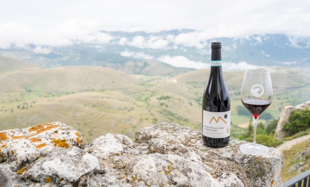 Vini d'Abruzzo: passato, presente e futuro