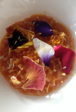 Galleria fotograficaCiocofoie
Un guscio di cioccolato 70% racchiude il ripieno di foie gras mi-cuit con qualche goccia di aceto balsamico tradizionale. Giusto per scaldare il motore
Alghe del nostro orto
Piatto border line, che gioca con una delle tecniche preferite dallo chef, quella della liofilizzazione e reidratazione, ne ha parlato anche a Identit&agrave; d&rsquo;Acqua, all&rsquo;interno dell&rsquo;ultima Identit&agrave; Milano. L&rsquo;insalata romana dell&rsquo;orto Zappatori viene prima liofilizzata e poi reidratata con succo d&rsquo;arancia, che le conferisce i muscoli agrumati necessari per reggere l&rsquo;impatto con una polvere di ostrica, gambero rosso e scampo.   Mica per tutti
Nuvola di barbabietola e toma Blu Cozie
Sbagliata sarebbe l&rsquo;impressione di un Milone-solo-uppercut. Dimostra invece un&rsquo;eleganza che pare essergli naturale (e pervade tutto il menu degustazione) con quest&rsquo;eterea meringa, lieve e friabilissima, texture davvero sorprendente che si sfalda appena al contatto della saliva rivelando le proprie dolci note vegetali. Deve per&ograve; fare i conti non solo con lo shiso, piacevole complemento, ma con un potente, delizioso blu che la prevarica. Il nostro pensiero &egrave; stato: si potrebbe cercare un abbinamento pi&ugrave; soave&hellip;
Aperitivo anni 80
Noccioline e crodino. Per&ograve; il secondo &egrave; passato per gli anni Duemila e ha conosciuto il pacojet, insomma gli Ottanta della Milano da bere sono da gustare ora al/col cucchiaio. Domina l&rsquo;amaro, sia metaforicamente (nel ricordo del bel tempo andato) che al palato
Pomodoro in conserva
Ancora liofilizzazione-reidratazione, con questo sherry che riceve un&rsquo;iniezione aromatica e poi viene bagnato al tavolo con un brodo vegetale. La puntura al pomodoro l&rsquo;abbiamo gi&agrave; vista (da Josean Alija ad esempio, indimenticabile, o da Eneko Atxa), qui il plus &egrave; la scelta del &ldquo;ripieno&rdquo;: lampone. Insomma: forti note dolci e acide, cui il brodo fa da contrappunto
Gambero rosso e te nero
Suadenze pi&ugrave; classiche per questi gamberi rossi battuti con erbe (basilico, timo limone, cedrina&hellip;), che diventano bonbon nappati con un gel di t&egrave; nero affumicatoCozze al nero
Piatto bellissimo e pure buonissimo, in realt&agrave; con richiami molto tradizionali (le classiche cozze irrorate con succo di limone). Qui sono farcite con un&rsquo;acqua ottenuta dalle stesse cozze e dalle nobili ostriche, poi gelatinata. La parte gradevolmente agrumata sporca il piatto, nell&rsquo;incontro tra salsa al lime e nero di seppiaVicciola cruda brasata al vino rosso
Godimento puro, il merito del quale va condiviso da Milone con la macelleria Pino di Torino, dove hanno &ldquo;inventato&rdquo; la vicciola, ossia una fassona cresciuta a nocciole (la sua alimentazione &egrave; composta da mais, crusca, fieno e nocciole, appunto). Unico allevamento, l&rsquo;azienda agricola di Giovanni Rossetti ed esclusivamente per la suddetta macelleria di via Cibrario, rese molto inferiori come quantit&agrave; ma tutto a vantaggio di una qualit&agrave; stupefacente. La carne ha un gusto dolce e delicato, prende consistenza morbida dovuta alla sua fibra oleosa. Milone la impiega come fosse una cruda all&rsquo;Albese, abbinandole un&rsquo;altra preparazione cult del suo Piemonte, il brasato, in realt&agrave; il fondo liofilizzato e poi polverizzato. Completa il superlativo piatto uno scalogno cotto nel microonde e poi bruciato in padellaLumache sambuco e birra
Altro piatto stellare, sorta di evoluzione della ricetta (Le lumache e la birra) con la quale Milone ha vinto il Premio Birra Moretti Grand Cru 2012. Le lumache, bottino di caccia di una notte nei boschi del Pinerolese, sono fritte dopo essere passate nella fecola di patata. Prima ancora erano state cotte in un brodo composto da succo di porro e birra, al 50% ciascuno, che viene poi ridotto con la farina di tapioca per farne una salsa di accompagnamento. Nel piatto si trova anche una schiuma ottenuta con aceto di vino rosso aromatizzato al sambuco e, specularmente, i fiori di sambuco messi sotto aceto, che puliscono e conferiscono acidit&agrave;. Armonia gustativa complessa, completa
Colombo, verdure, caffe e nocciola
A casa Zappatori si allevano i colombi, che poi finiscono sotto le nostre ganasce in due cotture: il petto &egrave; appena scottato, il filetto viene marinato nell&rsquo;olio di nocciola Pariani. Completano cipollotti e carote fermentati con tecnica redzepiana: sotto sale e cotti sottovuoto a 20&deg; per 48 ore, inacidiscono il giusto
Pasta alle erbe al pomodoro
Una classica pasta all&rsquo;uovo, met&agrave; tuorli e met&agrave; farina, nell&rsquo;impasto finiscono anche le erbe aromatiche. Tagliata a lasagnetta, cuoce in un&rsquo;acqua di estrazione del pomodoro, tecnica (si frullano i pomodori e poi la loro acqua viene raccolta per percolazione) raccontata a Identit&agrave; Milano applicata a un Risotto pomodoro e mozzarella. Si manteca con il burro, alla piemontese, ma sotto ci sono, nascosti, anche i cuori del pomodoro stesso e del pesto liofilizzato