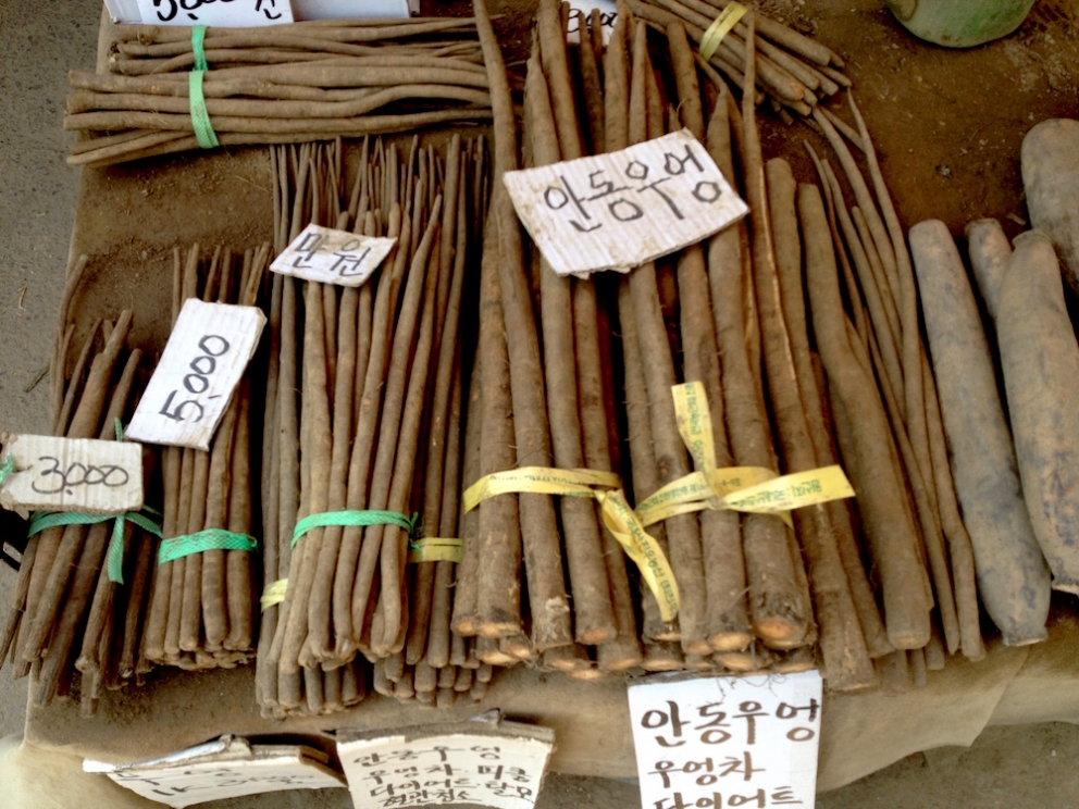 Galleria fotografica






Panoramica dal 32mo piano del Lotte Hotel di Seul. La capitale della Corea del Sud (che i locali pronunciano "sol"), con 10 milioni di abitanti (25 considerando tutta la proncia di Gyeonggi) è tra le città più popolose al mondo








Sfigurata nel Novecento dai Giapponesi (prima parte del secolo) e dalla guerra di Corea (1950-1953), oggi Seul ha un aspetto moderno, piuttosto occidentale








Con decine di milioni di turisti all'anno, Seul è tra le 10 città più visitate al mondo. Nella foto, una delle attrazioni più viste in città: il Dongdaemun Design Plaza, progettato da Zaha Adid e Samoo e completato nel marzo del 2014
 








A passeggio per il quartiere di Myeongdong, molto frequentato anche per l’alta concentrazione di ristoranti








Il viaggio era cominciato bene: tra le opzioni commestibili sui voli di Korean Air c’è proprio una squisita Bibimpap, con tanto di foglietto illustrativo








Bancarelle all’ingresso del mercato Namdaemun, tra i più popolari di Seul. Chiunque può andare e comprare; non occorrono licenze








Namdaemun, trippa a mollo








L’affitto di una bancarella al Namdaemun costa circa 2.000 dollari americani al mese, ma consente un ricavo medio mensile di almeno il doppio








Cozze giganti, molto popolari sulle tavole coreane








I mercati sono sterminati, molto puliti e per nulla caotici








All’interno del mercato, c’è anche un ristorante molto spartano e molto buono. Serve di tutto: hoe (pesce crudo), kimchi (verdure fermentate), guk tang (zuppe), bibimpap…








Baek kimchi: cavolo stufato con rape bianche, pere, prezzemolo coreano. Talvolta è servito anche con le castagne








Scodella di Bibimbap








Uova di quaglia bollite, aglio e edamame








A chiusura del pasto, ecco una bella zuppa fumante (erano le 8 del mattino)








Zuppa di alghe e merluzzo








Mingles, sulla Cheongdam-dong nel quartiere di Gangnam-gu, è l’indirizzo più interessante di cucina coreana contemporanea. L’ha aperto poco più di un anno fa Mingoo Kang, tornato a casa dopo esperienze da Martin Berasategui e da Nobu Bahamas








Mingoo Kang propone un solo menu degustazione da 88.000 won (circa 70 euro). Ognuno dei piatti contiene sempre un elemento fermentato








Mingles esprime un approccio creativo fondato però sulle salse fermentate, pilastro della cucina coreana tradizionale: cho (aceto), gan-jang (salsa di soia), gochu-jang (pasta molto piccante di peperoni rossi, fagioli di soia bolliti e sale), doen-jang (pasta di fagioli di soia), erbe e spezie








Composizione iniziale di amuse bouche. Da sinistra a destra: Polpo, foglia di senape e pasta di aioli fermentata; Gelatina di bacche omija, zuppetta di asparagi bianchi, mirtilli e spuma di aceto nero e Pera arrotolata nella sogliola (salsa di gochu jang marinata nello yuzu), uva e peperoncino








Sandwich di fegato di rana pescatrice in sfoglia di miele su chip di funghi








Insalata di noodle di riso con senape coreana, spuma di tofu, alghe marinate, abalone e aragosta








Torchon di foie gras marinato nel doen jang (pasta di fagioli di soia), vino di prugne dorate corane e kimchi bianco








Branzino al vapore con calamari mignon brasati in cima e alga combu, brodo di alghe, granchio e kimchi bianco








Cracker di alghe e tapioca con polvere di tartufo, uova di salmone, melanzana e purea di mango








Noodle di umami (capelli d’angelo, pasta di alghe e inchiostro di seppia), brodo di pollo e pesce, spuma di lemongrass, ricci di mare, ostriche fritte e gambero








Per dessert, Crème brulee di jang tro, pican di gan-jang, gochu-jang, gelato alla vaniglia e spuma di whisky








La squadra del ristorante Mingles fa festa a fine cena coi colleghi dell’Osteria Francescana. Al centro, Massimo Bottura, presenza illustre del Seoul Gourmet Festival (leggi qui)








Al centro, Vivian Han, patron del ristorante Congdu, uno dei più quotati in città, il posto ideale esperire la doppia anima della cucina coreana, tra la tradizione e una avanguardia moderata. Con lei si riconoscono lo chef Hwan Eui Lee e Chris Kwon, regista di sala (foto David Rosengarten)








The bella veranda del ristorante Congdu, indirizzo 116-1 Deoksu Palace








Spalla di maiale Jeju cotta in bassa temperatura per 48 ore con gimchi invecchiato








Carpaccio di manzo con 3 tipi di salsa di soia stagionata, caviale e insalata di fiori








Il cocktail più noto del Congdu: makgeolli di fagioli neri e ginseng rosso invecchiato 6 anni








AND dining, il ristorante di Jinmo Jang, si trova sulla Hannam-dong, quartiere di Yongsan-gu, quartiere vivace ad alto tasso hispter nella periferia meridionale della città. Si accede al ristorante di fine dining da una porticina, dopo aver passato una caffetteria da colazione








E’ un bancone di soli 8 coperti in tutto, con 3 persone in cucina. Solo menu degustazione da 130.000 won (105 euro circa)








Jinmo Jang, 30 anni, e il suo sous chef ByeongCheol Mun, 21 anni. La cucina di AND parte da una base coreana ma poi spazia in tutto il mondo, con richiami alla Nordic Cuisine e ampie parentesi anche al tecno-emozionale di stampo spagnolo (sifoni, maltodestrine, eccetera)








Amuse bouche: Minisandwich di mela e formaggio di capra, croquette alla carota e arancio, latte di tigre e tuorlo d’uovo al tartufo. Sotto, tartufo al cioccolato e gochujang








Tartare di capasanta con latte di ricci di mare e neve








Sea ("mare"): sabbia edibile di aringhe affumicate, alghe, olio di fagioli fermentati con maltodestrina di tapioca. Il tutto è servito con gamberi al vapore, lumache di mare, vongole, ostriche feremntate e tunicata








Abalone e uova di triglia disidratate








Anatra su salsa di bietole








Peperoncini all’ingresso del Noryangin, l'altro monumentale mercato della città (con wi-fi pubblico)













Tunicata (sea squirt in inglese), mollusco molto popolare in Corea: tolto l’involucro gommoso, si preleva il contenuto e si frigge








Enorme la varietà di granchi coreani, buonissimi se fermentati nella salsa di soia (Gankang-gejang)








Prawns in fila








Granchi reali








Echiurodei (spoon worms in inglese), altro mollusco diffuso








Gianchetti essiccati. Nessun posto al mondo vanta una varietà così sterminata di pesce essiccato








Variazioni di peperoni rossi fermentati, un vero simbolo della cucina coreana








Sullo sfondo, le preziose anguille. Il pezzo più pregiato del mercato? Gli abaloni: 35 euro al chilo





