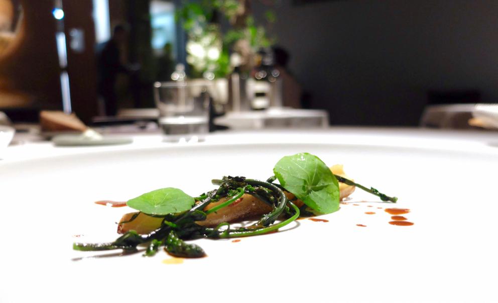 Galleria fotografica






La nostra cena all'Undicesimo Vineria negli scatti di Tanio Liotta. Si parte con il territorio mandato in orbita: Radicchio rosso di Treviso, acidulato di umeboshi, rose e litches









Cialda di fagiolo Mug, rapa rossa e karkadè









Dashi croccante, sedano rapa e alga nori









Cannolo di topinambur ed erba di San Pietro canforata









Tacos di mandorla, carota, lime e coriandolo









Canocchia, wasabi, girasole, kiwi fermentato, crescione e silene









Oxalide, lardo, fragola fermentata, stellina odorosa e karkadè bianco: forti note acide che il lardo rende più morbide









Volpina, nervetti, katsuobushi, sedano di Scozia e sedano di monte: un piatto di altissimo livello









Raviolo di frattaglie di rombo, uova di baccalà affumicato, cervello di vitello: delizioso, il cervello che regala una nota fondente, suadente, dolce









Tortellini di tamarindo, doppia panna e angustura: bellissimo ribaltamento di un piatto della tradizione









Capelli d'angelo, pino marittimo, pinoli e ruta: le note balsamiche sono molto muscolose, anche troppo






