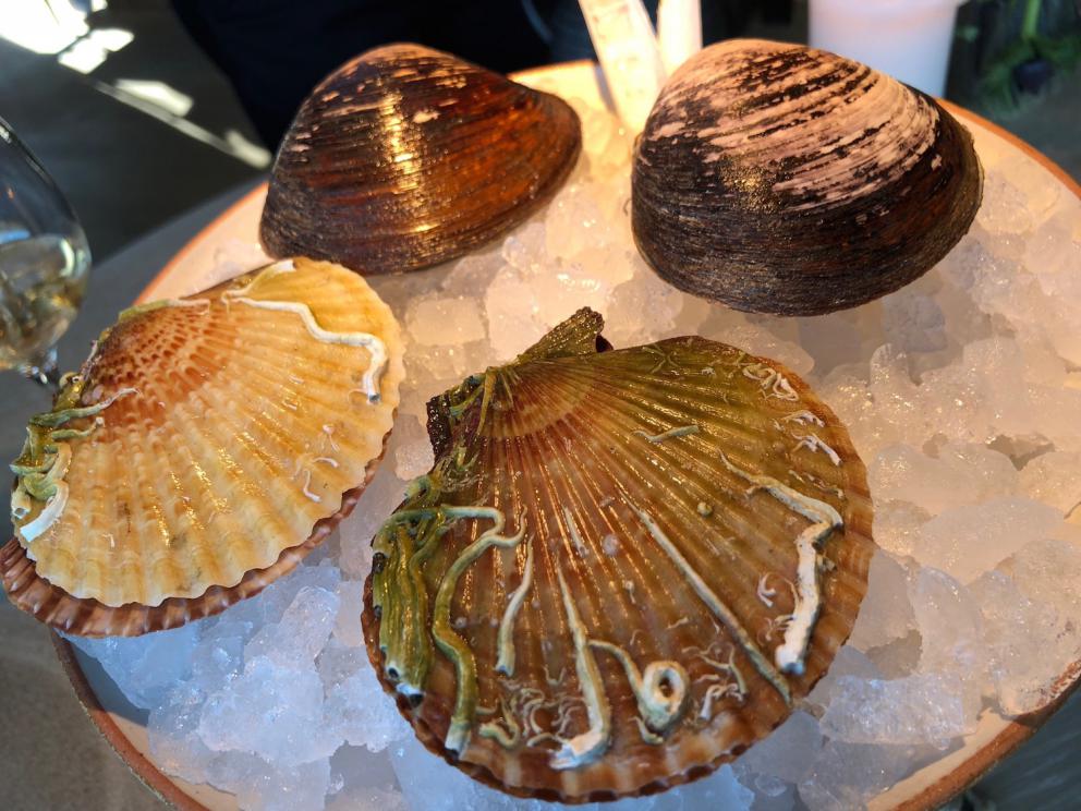 Photogallery






Noma 2.0 is in Christianshavn, the same neighbourhood as the first Noma. They’re 1.5 km apart, a 15 minutes’ walk. This picture shows the distance: to the right, there’s the warehouse of the old location (in Strandgade 93), to the left the smokestacks of Amager Bakke, the futuristic incinerator below which stands the new Noma (in Refshalevej 96)









Weather permitting, you can have a peaceful walk between the previous Noma to today’s Noma 









The new Noma is on an isthmus surrounded by canals. In the future they also want to reclaim some small parts for hydroponic farming









Bucolic scene with incinerator









Bikes left outside Noma. It’s the favourite means of transport among employees and interns









The long path taking you to the restaurant. The fence on the left shows how works are still in progress









On the two sides of the path there are the two new sections of the "Noma village", each with its specialty: grill, hot dishes, snacks, fermentations... In one month’s time, behind the fence we’ll have greenhouses, the test kitchen and the bread making area









To the left, before arriving at the restaurant, the future test kitchen. This will be run by Danish Mette Søberg with Riccardo Canella. "My first challenge?", reveals the latter, for a long time sous chef here, "is to work on the extraction of essential oils" 









The future Test Kitchen









The temporary gangway to the restaurant









Looking from the door to the restaurant, there’s a lake and the smokestacks puffing vapour from the Amager Bakke incinerator. It’s a futuristic project, both in terms of sustainability and architecture. It’s also known as Amager Slope or Copenhill, and its author is starchitect Bjarke Ingels, the same who designed the new Noma. Gradually opened in 2017, it transforms waste into electricity. The goal is to donate electricity to 62500 houses and hot water to 160000. It’s part of an ambitious project to transform Copenhagen into the first city in the world in terms of zero carbon dioxide emissions by 2025. By autumn this year, Amager Slope should open its ski slope, a climbing wall and a hiking track. You’ll be able to slalom on top of the incinerator









The windows from the dining room









Work is still in progress (photo taken on Thursday 22nd February 2018)









Traces of the old building, with barbwire. During WWII, they built bombs here









A view of the dining room at night (photo from Instagram/James Spreadbury)









The entrance to the restaurant









The usual ritual: a welcome from the entire staff, led by Rene Redzepi 









Behind the entrance, there are formaldehyde tanks with creatures from the abyss, shaped as in Damien Hirst’s works. The first image once you’re inside is to reproduce a Scandinavian village









The service kitchen is larger, more spacious and a completely open view from the dining room: "It’s the heart of our Scandinavian village", says Canella. There are 30 cooks working here now. 10 more, compared to the previous Noma









Large skylights above the cooks









There are currently more than 100 people working at Noma, of whom 63 are cooks - 26 employed, and 37 as interns









There’s fire in the kitchen, for the first time









On average, the dining room can host 40 people. "However", complains Redzepi, "there’s always someone who turns up with more people than the ones booked"









While the dining room is set, the outside space still need to be defined









The staff made the dining room decorations. There are no overly expensive designer objects









Dried fish









Seaweeds hanging from the ceiling









Dried octopus heads preserved in salt (with a balloon inside)














Bjarke Ingels and Redzepi’s plan included the wish to recreate a Danish farm









The luminous private dining room









The counter in the dining room. They drew the beams from the canals around the restaurant














The mise en place, bare and strictly without tablecloths









Water jug, candle, flower vase









A warm cloth, to begin with









Australian James Spreadbury, restaurant manager and partner at Noma









Welcome drink: Champagne extra brut Blanc d'Argile from Domaine Vouette et Sorbée









Sea Snail broth. The welcome dish at Noma is, as usual, a hot “soup”









Stefano Ferrano, from Torino, presents the following dish. There’s always a large Italian colony at Noma









Venus clams. Molluscs from Limfjord (Denmark) mixed with decorative clams, typical of Noma. Beside them, shells with blackcurrant oil and “Danish curry”, made with toasted coriander seeds, fennel and fennel seeds









The lid above the following dish. The mussels are not edible









Best of the mussel. Mussels open in a pan with water of fermented barley. «We recreate the mussel», says Canella, «using just the flaps, the best part». The paste is made with scraps from the mussel, cooked in smoked butter









The next dish is conceived and served by Riccardo Canella, the Paduan sous chef who conquered Redzepi, here with dining room intern Feline Hansen









Dried fruits and shrimps. In this case, the heads are not a decoration, but you must suck them –best not eat them because of the bones: they’re filled with a lovely prawn cream. The small crustaceans are still alive when they arrive on a ship straight from the Norwegian fjords









Inside, under the prawn broth skin, there’s fruits and vegetable preserved from the previous summer with raw prawns and gooseberry sauce with blackcurrant oil









How about beverages? There are three options, as usual: wine pairing (6 glasses plus a beer plus sake, 150 euros), juice pairing (juices and extracts, 110 euros) or a choice from the list. They recommend Champagne Chut... Libre from Val'Frison pour Dominique Derain, 50% Pinot Noir, 50% Chardonnay created by a couple who met at the old Noma. Well bodied, it will be a good match throughout the meal









As usual, the wine list starts with Champagne: the cheapest is 1400 crowns (190 euros)









White wines begin with labels from cold climates: first Austria, increasingly popular for its natural wines, then Germany, then all the others









How about Italy? Few names, among the white wines, from North and South









A dozen red/orange wines









Sea star, that is to say Cured trout roe and eggs, the emblem dish of this new era. They recommend moving the teaspoon from the heart to the edges of the tentacles. Aesthetics win over taste









Jellyfish. The jellyfish gel in the middle is in fact a clarified broth of calamari and recalls the texture of jellyfish. "We tried to cook jellyfish in 300 different ways but none was convincing so far". All around, pickled seaweed. The gel is almost tasteless, it serves to clean the palate after the pickles









Rene Redzepi himself presents the content of the first Seafood platter.









French style service with a small plate below for the empty shells






