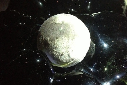 Galleria fotografica






Le prove generali








Prove del primo atto: al centro, il Bonsai di pica-pica


















Comincia la nostra esperienza: occhio all'indirizzo del centro Arts Santa Monica








Fuori staziona il van di Girona con tutto il nécessaire commestibile








Dentro, la targa coi ringraziamenti a tutti coloro che hanno lavorato al progetto








Per arrivare al set dell'opera si attraversa una mostra che proietta in oblò teaser coi motivi anticipatori di quel che troveremo dentro








Un altro teaser








Il set prima delle trasmissioni













Si parte








Una spirale ci introduce al viaggio








Al centro del tavolo, nascosto tra bonsai (un classico rochiano), pica-pica di bon bon rappresentativi di vari paesi: cevice peruviano, guacamole messicano, cous-cous marocchino...








Commensali spiazzati








Il sogno ha inizio: l'atto primo mette in tavola la Luna, sfere di tartufo bianco e nero con distillato terrestre








Intorno, un video di Franc Aleu, le musiche di Luca Francesconi e il tableware di Taller Luesma Vega





