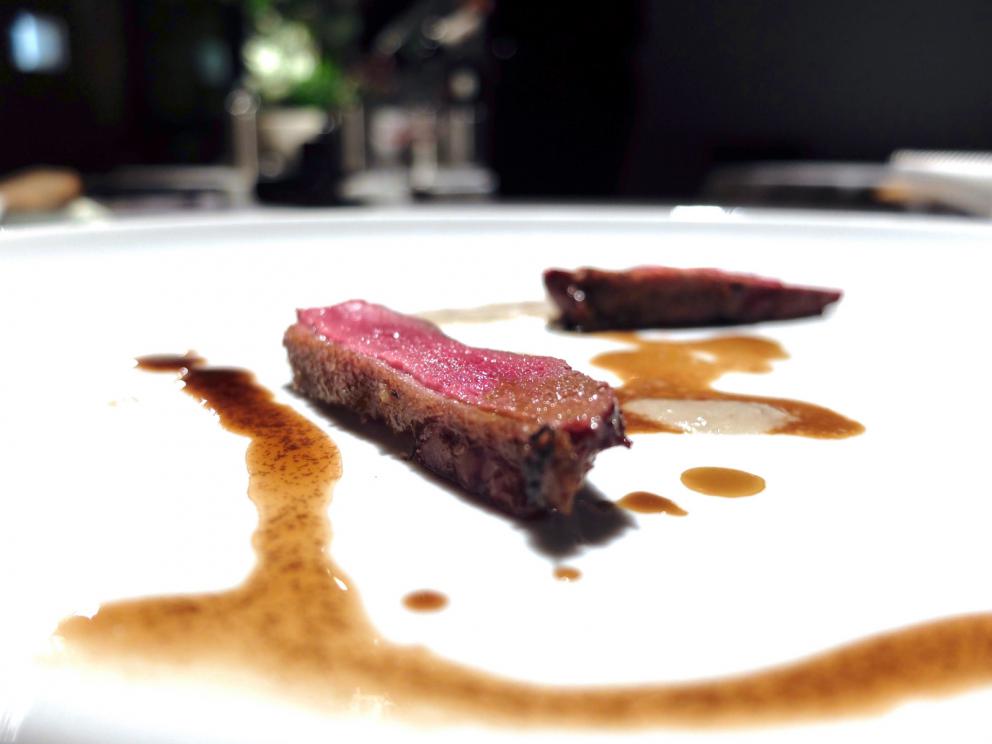 Galleria fotografica






La nostra cena all'Undicesimo Vineria negli scatti di Tanio Liotta. Si parte con il territorio mandato in orbita: Radicchio rosso di Treviso, acidulato di umeboshi, rose e litches









Cialda di fagiolo Mug, rapa rossa e karkadè









Dashi croccante, sedano rapa e alga nori









Cannolo di topinambur ed erba di San Pietro canforata









Tacos di mandorla, carota, lime e coriandolo









Canocchia, wasabi, girasole, kiwi fermentato, crescione e silene









Oxalide, lardo, fragola fermentata, stellina odorosa e karkadè bianco: forti note acide che il lardo rende più morbide









Volpina, nervetti, katsuobushi, sedano di Scozia e sedano di monte: un piatto di altissimo livello









Raviolo di frattaglie di rombo, uova di baccalà affumicato, cervello di vitello: delizioso, il cervello che regala una nota fondente, suadente, dolce









Tortellini di tamarindo, doppia panna e angustura: bellissimo ribaltamento di un piatto della tradizione









Capelli d'angelo, pino marittimo, pinoli e ruta: le note balsamiche sono molto muscolose, anche troppo









Pastinaca, tambari, nasturzio e curcuma: esaltazione di vegetalità






