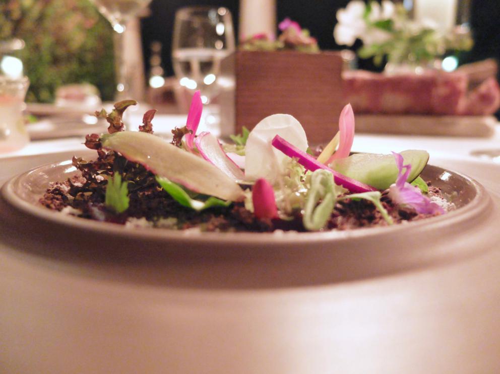 Photogallery






Our dinner at Meo Modo starts with various appetizers: hake tartare, gel of black olives and lime, sheep’s milk cheese with extra virgin olive oil and cypress, oregano and cheese cracker, black tomato with saffron mayonnaise, fermented tomato with crispy millet, pearls of crispy codfish









Celery sorbet, barbe brunoise and hazelnuts 






