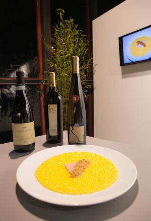 Galleria fotografica






Daniele Zennaro e Irina Freguia: Baccalà mantecato alla veneziana 
Vini in abbinamento
•	Zorzettig - Myò Vigneti di Spessa Friulano Myò Vigneti di Spessa Friuli Colli Orientali DOC 2012 
•	Omina Romana Viognier Lazio IGP 2011 
•	Riccardo Baracchi Metodo Classico Millesimato Brut VSQPRD 2011









Stefano Callegari: Trapizzini
Vini in abbinamento
•	Cleto Chiarli Lambrusco del Fondatore Lambrusco di Sorbara DOC 2012
•	Medici Ermete & Figli Bocciolo Lambrusco Grasparossa dei Colli di Scandiano e Canossa DOC 2012
•	Ca' di Frara Raro Oltrepò Pavese Pinot Nero DOP 2008 
•	Podere Bignolino Pinot Nero Oltrepo Pavese DOC 2009 
•	Col Vetoraz Spumanti Millesimato Valdobbiadene Dry DOCG 2013
 








Food Experience Mondadori













La squadra dell'evento Grande cucina, piccoli piatti








Cesare Battisti: Riso al salto - Lingua e salsa verde
Vini in abbinamento
•	Petra Quercegobbe Toscana Rosso IGT 2010 
•	Feudo Principi di Butera Nero d’Avola Sicilia IGT 2011 
•	Cantina PS Confusion Rosso Marche IGT 2010 
•	Lamole di Lamole Chianti Classico Riserva DOCG 2009








Domenico della Salandra: Guancetta di manzo arrosto con purè.

Vini in abbinamento:
• Carlo Pellegrino Gibelé Zibibbo Secco Terre Siciliane IGP 2012 
•	Marisa Cuomo Fiorduva Furore Bianco Cosa d'Amalfi DOC 2011 
•	Citra Vini Laus Vitae Montepulciano d'Abruzzo DOC 2006
•	Paradisone - Colle degli Angeli Rosso di Montalcino DOC 2008









Enrico e Roberto Cerea: Paccheri al pomodoro mantecati con Grana Padano

Vini in abbinamento:
•	Vivallis Trentodoc Valentini di Weinfeld 
•	Pedrotti Spumanti Trentodoc Pedrotti Bouquet Brut 
•	Revì Trentodoc Paladino Millesimato 2009 
•	Abate Nero Trentodoc Abate Nero Domini Nero Brut Millesimato 2008 
•	Opera Vitivinicola in Valdicembra Trentodoc Opera Brut 2008
•	Ferrari F.lli Lunelli Trentodoc Ferrari Perlé 2007 
•	Maso Martis Trentodoc Maso Martis Riserva 2007








Fulvio Siccardi: Uovo con crema di latte al tartufo NoH2O 
Vini in abbinamento
•	Torre Rosazza Friulano Friuli Colli Orientali DOC 2012 
•	Lis Fadis Guriut Chardonnay Friuli Colli Orientali DOC 2011 
•	Castelfeder Burgum Novum Alto Adige Chardonnay Riserva DOC








Helmut Köcher










