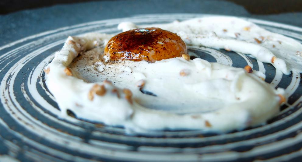 Galleria fotografica






Uomini e donne de La Tana Gourmet quasi al completo: da sinistra Alessandro Dal Degan, il pastry chef Denny Caliaro, Marco Perin, Jacopo Robelli, Giada Mastrotto, Enrico Maglio. Le foto sono di Tanio Liotta









Salsa all'uovo, pecorino e pepe con cracker ai cereali









Chips di patate, carote e amaranto









Cipolla, crème fraîche, ristretto di pollo, crusca, pepe arancio (ossia foglie di Zanthoxylum beecheyanum). Gran piatto









Ricotta, latticello, finferli, crema di gambo di carciofo, foglie e fumo di larice









Lumache stufate nel fieno, crema di erbe di campo, pane al muschio, crema di ginepro, peperone del piquillo









Orzo: terra ed acqua. Ossia orzo mantecato con l'Asiago, fagioli neri (la buccia in mantecatura, il resto in polvere), katsuobushi, lattuga di mare, scampi, limone candito al sale. L'orzo, così risottato, «non scuoce mai»









Pasta, pomodoro ed erbe, ne abbiamo già parlato









Uovo in tegame, 10 erbe, 3 sorprese (coriandolo fermentato, crema di bosco, salsa rustica, «ossia un ketchup nostrano»)









Lingua, carciofo, mirto. Un piatto delizioso, la lingua viene prima cotta per 24 ore, poi piastrata









Anguilla, sugo di capriolo, barbabietola, ibisco e polvere di rose: in una cena di altissimo livello, qui il nostro unico appunto, c'è fin troppa complessità









Sella di capriolo alla resina di ginepro, funghi trombette, sedano rapa e geranio. Perfezione e purezza









Fragola e pomodoro: inizia la parte dolce con una proposta fresca e convincente









Geniale il Cuore crudo di vitello, lamponi, yogurt alle erbe e anice fermentato. Lo chef vuole così recuperare la tradizione persa del sanguinaccio dolce






