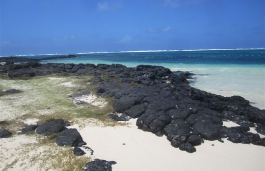 Galleria fotografica






Da sinistra, Federico Zanasi, Luca D’Amora e Moreno Cedroni. Dalle Marche alle Mauritius








A destra, Federico Zanasi con gli altri due chef del Long Beach. Oltre a Sapori e Hasu, diretti dai cuochi italiani, il resort ospita Chopsticks (cucina cinese), Tides (cucina di mare d'impronta francese) e Le Marchè (buffet e colazioni)








Il tunnel sotterraneo del resort. Ai lati, le stanze in cui si prepara la materia prima da spedire ai vari ristoranti di sopra








Pesci oceanici mauriziani. Su tutti dominano gli snapper, red o white, lontani parenti del dentice








I mercati di frutta e verdura mauriziani sono molto ricchi. La pugliese Antonella Ricci e il marito Vinod Sokar, mauriziano, moglie e marito e cuochi del Fornello da Ricci di Ceglie Messapica (Brindisi) consigliano i mercati di Quatre Bornes, Curepipe e Rose Hil. Vi regna il cibo da strada come l'ubiquo dhal puri, pane indiano alle lenticchie, che può essere farcito a piacere








Sapori, insegna di cucina italiana sovrintesa da Cedroni e Zanasi. In carta insalata, pasta, risotti, lasagne e pizza








Federico Zanasi davanti all'ingresso dell'Hasu








Il Carpaccio di cocomero dell'Hasu, il ristorante giapponese del Long Beach, chef Moreno Cedroni. La tecnica di essiccamento del cocomero prende spunto da uno stratagemma di Andoni, cuoco del Mugaritz nei Paesi Baschi (chiediamo venia per la foto pessima)








Ostriche, sorbetto di ostriche e perle di tè Lapsang Souchong. L'isola di Mauritius è piena di questi piccoli molluschi di scoglio, minuscoli ma molto saporiti








Al Long Beach pane e brioches non sono niente male, compito non semplice, considerando la grande umidità. Visto il traffico della clientela, i panificatori sono in perenne movimento








Polipo cotto sottovuoto, salsa verde, gelatina di pane in agrodolce e maionese di acqua di polipo, piatto dell'Hasu








Gelato alle foglie di curry, mousse al cocco, terra di cioccolato e soda di succo di guava di Federico Zanasi. Il piatto potrebbe finire in carta al Clandestino di Portonovo, apertura 30 aprile 2012. Il tema di quest'anno? "Sushi fiaboloso", tutto ispirato alle fiabe








Piadini Rimini, una delle 3 in carta al ristorante italiano Sapori: mozzarella, prosciutto italiano, acciughe e insalata





