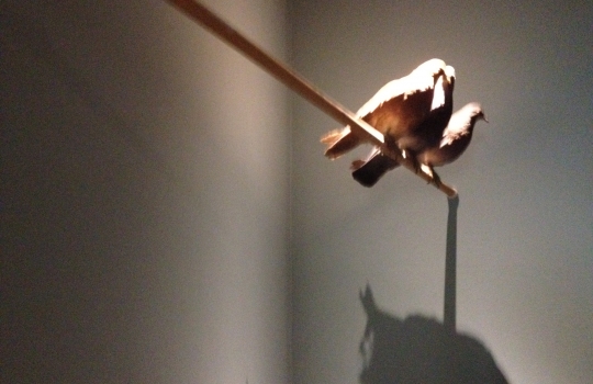 Galleria fotografica






Il nuovo ingresso dell'Osteria Francescana, via Stella 22













La cantina (con una parte) dei vini della Francescana: Bottura affetta per gli ospiti








Davide Di Fabio tra gli spazi della nuova cucina


















Franco Aliberti, tornato dal salato al dolce








Massimo Bottura e Takahiko Kondo "sparecchiano" fuori dalla cucina, ingresso nell'adiacente via delle Rose








21








Anguille pronte a partire dalla cucina








Sala e mise-en-place


















Il mondo di Mario Schifani, appena oltre l'ingresso








Il soffitto a cassettoni della sala





