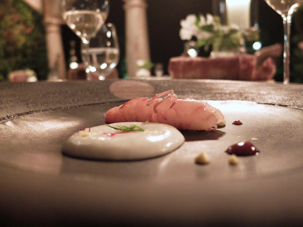 Photogallery






Our dinner at Meo Modo starts with various appetizers: hake tartare, gel of black olives and lime, sheep’s milk cheese with extra virgin olive oil and cypress, oregano and cheese cracker, black tomato with saffron mayonnaise, fermented tomato with crispy millet, pearls of crispy codfish









Celery sorbet, barbe brunoise and hazelnuts 









Fantastic salad made with 25 vegetables from the kitchen garden, with beetroot cream and cereal biscuit served with mushrooms, mushroom sponge, musk aroma and tomato infusion









The mushrooms sponge, aroma of musk and tomato infusion served with the salad






