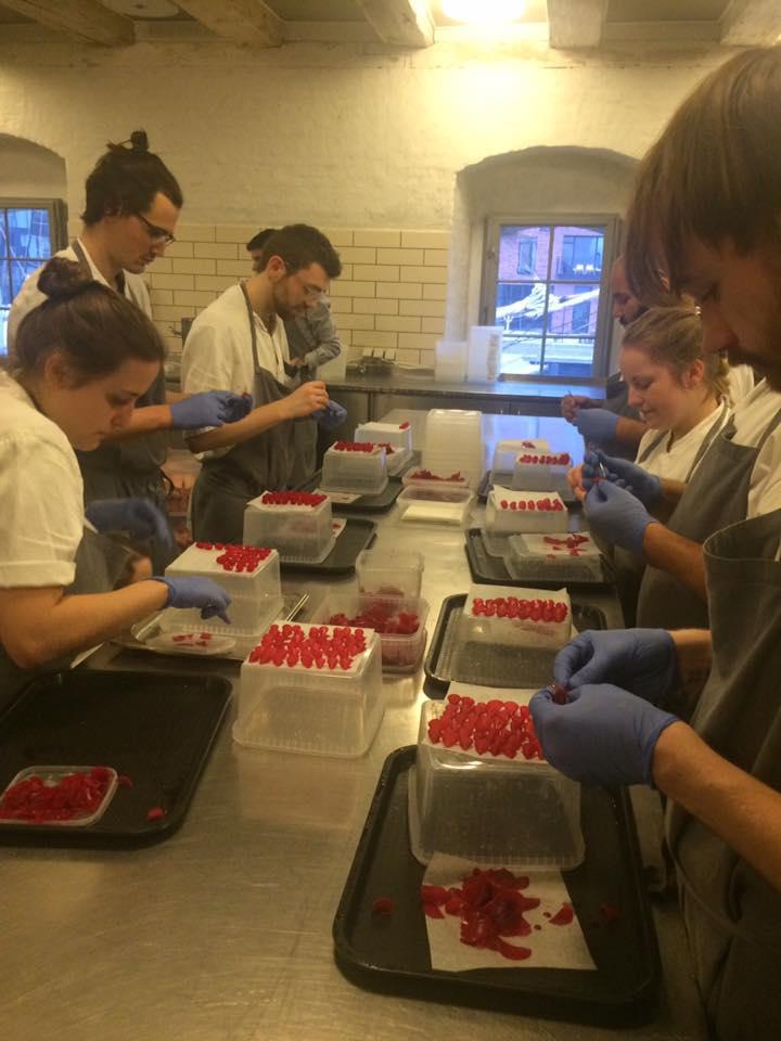 Photogallery






The traditional welcome at Noma: the chefs from the service kitchen greet the guests. In the middle, Italian Riccardo Canella, who will help us describing the last menu in detail (photo gallery by Luca Iaccarino and Gabriele Zanatta)









Warm broth of cloudberries. It’s the last welcome dish at Noma. It’s cold outside but as soon as you sit inside, you get warm thanks to this hot broth made with cloudberries enriched with rhubarb root oil. You dip a bouquet of hay, lemon thyme and mountain pine. Corroborating









Riccardo Canella brings a preview of what will follow









It’s a dish with seafood, including a huge (and alive) king crab, sea urchins and oysters









Apple of the season









Apple of the season. Once you open the shell, many small apple parisienne appear in a juice made with centrifuged, clarified apple scraps, seasoned with verbena and thyme. There’s also a purée of apples fermented in broth. The dish is finished with oxalis flowers, tagete and oil of blackcurrant wood, made by beating the blackcurrant branches with a hammer, so as to extract their essential oils. A very pleasant dish despite its complex idea.

"The first time I saw it ", added Canella, "I was struck because it reminded me of the stuffed apples they used to make at restaurant Bulesca in Selvazzano, Padua, in the early Eighties. Except in that case it was filled with rolls made with granny smith apple and prosciutto from Montagnana" 









Fresh sliced scallop. It’s a scallop taken from the fish tank and shelled a few moments before serving it. It is then sliced, brushed with a reduction of vegetable whipped butter with cucumber centrifuge juice, then reduced, and piso broth (that is to say miso with dehydrated peas).

The technique is the same used for the broth ice-clarification made famous in the Nineties by Heston Blumenthal at Fat Duck: you freeze the broth then hang a table cloth so as to obtain the “pure” part of the liquid. A trick that adds the same satisfying sensation of a meat jus to a vegetable broth. The scallop is finally dipped into a classic mussel broth. An incredible mouthful of seafood and umami









A Winter Platter. Hidden among the leaves, are four edible tastings









He sums up in just one dish 4 snacks that he might would have served separately a few years back. A fun and tasty idea. In detail:

At 6 o’clock: Pear pressed in fermented red gooseberry with fully ripe common sea buckthorn. It’s a rather tart ensemble made sweeter by piso (again miso made with dried peas) seasoned with coriander seeds (supplied by Redzepi’s historic supplier Soren Wiuff). The external thinner leaf is a peel made with chicken broth and beech leaves preserved in vinegar.

10 o'clock: crispy black currant leaf-shaped sandwich, seasoned with yogurt, kombucha, elderberry flowers and red oxalis 

12 o'clock: malt branch with nasturtium leaves, creme fraiche, salt aromatised with pine and ants

4 o'clock: black garlic leaf with salt aromatised with kelp, a Japanese seaweed 









A detail of the malt branch, with well visible ants. At Noma, the study of the aromatic contribution given by formic acid to dishes continues. And even the service acquires elegance: in the past you might have seen ants floating in a few dishes. This is no longer the case









A Tupperware from the "ant library", on the first floor at Strangade









Radish pie. It’s an emblem of the latest menus at Noma. It’s been in the menu for almost a year. In the crunchy disc on the bottom there’s kelp seaweed and a vegetable reduction made with coriander pesto. The radish roses (22, no more, no less) were pressed in beetroot juice. Another formidable tasting






