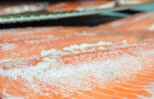 Galleria fotografica






Scozia, regione di Argyle, sud-ovest del Paese








Loch Fyne è il fiordo più noto di Argyle e anche il più lungo del Paese. Loch in gaelico significa "lago", fyne "fiordo"








Nei dintorni, colline dolci, larici, pini e abeti








Al largo si scorgono delle gabbie di acquacoltura








Disinfettare bene i piedi prima di salire sulla chiatta








Sulla chiatta, verso le gabbie dei salmoni








L’acqua in cui sguazzano i salmoni è pulita, filtrata, ricca di sali minerali








Ecco la gabbia: sono una decina in tutto, di larghezza variabile, profonde fino a 28 metri








Nuotano in circolo 30mila salmoni per gabbia. Ogni esemplare ha a disposizione 98,5 litri d’acqua per ogni chilo e mezzo di peso, uno dei più elevati del Paese








Ecco il salmone! Sono esemplari nati da uova di salmoni-riproduttori, pescati in mare e mantenuti in cattività nelle avannotterie








Al largo, accanto alle gabbie, c'è anche la base che monitora costantemente i pesci e la distribuzione (automatica) del cibo. Mangime non Ogm selezionato, integrato da proteine di origine vegetale che riducono l’utilizzo di fauna ittica utilizzata per produrre farine di pesce













Raggiunti i 3-4 anni d'età - cioè il peso di 4-6 chili, toccato in circa 8-900 giorni di acquacoltura, dei quali metà passati in acqua dolce e metà in acqua salata, per assecondare il loro istinto naturale - i salmoni vengono pescati e immediatamente riposti nel ghiaccio, accorgimento fondamentale per mantenere rigida la carne








Le lavorazioni successive vengono effettuate entro e non oltre le 15 ore dalla pesca, nel laboratorio di Cairndow, il quartier generale di Loch Fyne a un passo dalle stesse acque in cui nuotano i salmoni








I salmoni sono lavati con la stessa acqua in cui hanno nuotato fino a poco prima








E poi decapitati, spinati e sfilettati a mano


















Del salmone, come del tonno, non si butta via niente








Nel clima necessariamente polare che avvolge le operazioni, il personale di circa 60 persone è quasi interamente composto da donne. «Gli uomini non sono altrettanto precisi nell’affettare», scherzano le impiegate infagottate nelle tute sterili








Quanto lavoro? 40 ore a settimana 





