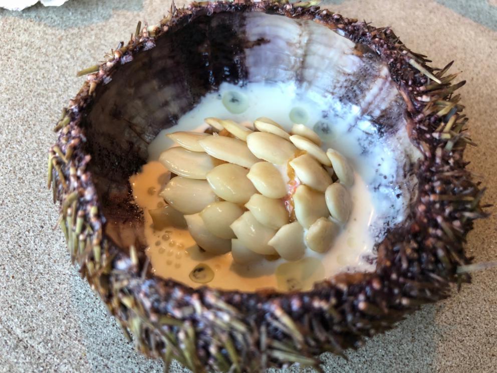 Photogallery






Noma 2.0 is in Christianshavn, the same neighbourhood as the first Noma. They’re 1.5 km apart, a 15 minutes’ walk. This picture shows the distance: to the right, there’s the warehouse of the old location (in Strandgade 93), to the left the smokestacks of Amager Bakke, the futuristic incinerator below which stands the new Noma (in Refshalevej 96)









Weather permitting, you can have a peaceful walk between the previous Noma to today’s Noma 









The new Noma is on an isthmus surrounded by canals. In the future they also want to reclaim some small parts for hydroponic farming









Bucolic scene with incinerator









Bikes left outside Noma. It’s the favourite means of transport among employees and interns









The long path taking you to the restaurant. The fence on the left shows how works are still in progress









On the two sides of the path there are the two new sections of the "Noma village", each with its specialty: grill, hot dishes, snacks, fermentations... In one month’s time, behind the fence we’ll have greenhouses, the test kitchen and the bread making area









To the left, before arriving at the restaurant, the future test kitchen. This will be run by Danish Mette Søberg with Riccardo Canella. "My first challenge?", reveals the latter, for a long time sous chef here, "is to work on the extraction of essential oils" 









The future Test Kitchen









The temporary gangway to the restaurant









Looking from the door to the restaurant, there’s a lake and the smokestacks puffing vapour from the Amager Bakke incinerator. It’s a futuristic project, both in terms of sustainability and architecture. It’s also known as Amager Slope or Copenhill, and its author is starchitect Bjarke Ingels, the same who designed the new Noma. Gradually opened in 2017, it transforms waste into electricity. The goal is to donate electricity to 62500 houses and hot water to 160000. It’s part of an ambitious project to transform Copenhagen into the first city in the world in terms of zero carbon dioxide emissions by 2025. By autumn this year, Amager Slope should open its ski slope, a climbing wall and a hiking track. You’ll be able to slalom on top of the incinerator









The windows from the dining room









Work is still in progress (photo taken on Thursday 22nd February 2018)









Traces of the old building, with barbwire. During WWII, they built bombs here









A view of the dining room at night (photo from Instagram/James Spreadbury)









The entrance to the restaurant









The usual ritual: a welcome from the entire staff, led by Rene Redzepi 









Behind the entrance, there are formaldehyde tanks with creatures from the abyss, shaped as in Damien Hirst’s works. The first image once you’re inside is to reproduce a Scandinavian village









The service kitchen is larger, more spacious and a completely open view from the dining room: "It’s the heart of our Scandinavian village", says Canella. There are 30 cooks working here now. 10 more, compared to the previous Noma









Large skylights above the cooks









There are currently more than 100 people working at Noma, of whom 63 are cooks - 26 employed, and 37 as interns









There’s fire in the kitchen, for the first time









On average, the dining room can host 40 people. "However", complains Redzepi, "there’s always someone who turns up with more people than the ones booked"









While the dining room is set, the outside space still need to be defined









The staff made the dining room decorations. There are no overly expensive designer objects









Dried fish









Seaweeds hanging from the ceiling









Dried octopus heads preserved in salt (with a balloon inside)














Bjarke Ingels and Redzepi’s plan included the wish to recreate a Danish farm









The luminous private dining room









The counter in the dining room. They drew the beams from the canals around the restaurant














The mise en place, bare and strictly without tablecloths









Water jug, candle, flower vase









A warm cloth, to begin with









Australian James Spreadbury, restaurant manager and partner at Noma









Welcome drink: Champagne extra brut Blanc d'Argile from Domaine Vouette et Sorbée









Sea Snail broth. The welcome dish at Noma is, as usual, a hot “soup”









Stefano Ferrano, from Torino, presents the following dish. There’s always a large Italian colony at Noma









Venus clams. Molluscs from Limfjord (Denmark) mixed with decorative clams, typical of Noma. Beside them, shells with blackcurrant oil and “Danish curry”, made with toasted coriander seeds, fennel and fennel seeds









The lid above the following dish. The mussels are not edible









Best of the mussel. Mussels open in a pan with water of fermented barley. «We recreate the mussel», says Canella, «using just the flaps, the best part». The paste is made with scraps from the mussel, cooked in smoked butter









The next dish is conceived and served by Riccardo Canella, the Paduan sous chef who conquered Redzepi, here with dining room intern Feline Hansen









Dried fruits and shrimps. In this case, the heads are not a decoration, but you must suck them –best not eat them because of the bones: they’re filled with a lovely prawn cream. The small crustaceans are still alive when they arrive on a ship straight from the Norwegian fjords









Inside, under the prawn broth skin, there’s fruits and vegetable preserved from the previous summer with raw prawns and gooseberry sauce with blackcurrant oil









How about beverages? There are three options, as usual: wine pairing (6 glasses plus a beer plus sake, 150 euros), juice pairing (juices and extracts, 110 euros) or a choice from the list. They recommend Champagne Chut... Libre from Val'Frison pour Dominique Derain, 50% Pinot Noir, 50% Chardonnay created by a couple who met at the old Noma. Well bodied, it will be a good match throughout the meal









As usual, the wine list starts with Champagne: the cheapest is 1400 crowns (190 euros)









White wines begin with labels from cold climates: first Austria, increasingly popular for its natural wines, then Germany, then all the others









How about Italy? Few names, among the white wines, from North and South









A dozen red/orange wines









Sea star, that is to say Cured trout roe and eggs, the emblem dish of this new era. They recommend moving the teaspoon from the heart to the edges of the tentacles. Aesthetics win over taste









Jellyfish. The jellyfish gel in the middle is in fact a clarified broth of calamari and recalls the texture of jellyfish. "We tried to cook jellyfish in 300 different ways but none was convincing so far". All around, pickled seaweed. The gel is almost tasteless, it serves to clean the palate after the pickles









Rene Redzepi himself presents the content of the first Seafood platter.









French style service with a small plate below for the empty shells









It’s made of two (per two) pieces: queen clam and mahogany clam









The Queen Clam is a very small variety of Norwegian scallop, seasoned with a vegetal reduction made with cucumber and peas miso. The red tip is the coral. "You should eat it using the top shell ", recommends Redzepi









The Mahogany clam is a centennial clam from the North Sea, very popular in Denmark and Iceland. «You can tell the age by the number of rings, like with trees», says Redzepi, «In 2007 they found one that was 450 years old. We’ve had it in the menu for a decade or so». The razor clam shell serves as teaspoon









Inside, there’s obviously not just a bare Mahogany. «We open it when the client arrives», says Canella, «remove the entrails and then slice it so as to preserve its firm texture». It’s seasoned with stir-fried gooseberry, capers of blackcurrants and blackcurrant sprouts preserved in vinegar. The sauce is made with mussel water









A note on the chairs: they’re more minimalistic. They’re no longer covered in sheepskin or leather from other Danish animals, in the style of Noma 1.0. The most significant element is the napkin: if you go to the toilet, they no longer replace it with a new one. There’s the old one, tied to the chair. "This is sustainability", they explain









The second seafood platter. It’s made of Sea cucumber and sour cream in various textures, including «chicharrones» (at 9 o’clock), sea urchins (at 12 and 3) and gigas oyster (at 6)






