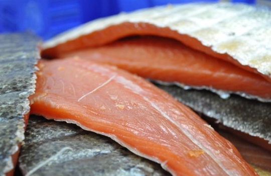 Galleria fotografica






Scozia, regione di Argyle, sud-ovest del Paese








Loch Fyne è il fiordo più noto di Argyle e anche il più lungo del Paese. Loch in gaelico significa "lago", fyne "fiordo"








Nei dintorni, colline dolci, larici, pini e abeti








Al largo si scorgono delle gabbie di acquacoltura








Disinfettare bene i piedi prima di salire sulla chiatta








Sulla chiatta, verso le gabbie dei salmoni








L’acqua in cui sguazzano i salmoni è pulita, filtrata, ricca di sali minerali








Ecco la gabbia: sono una decina in tutto, di larghezza variabile, profonde fino a 28 metri








Nuotano in circolo 30mila salmoni per gabbia. Ogni esemplare ha a disposizione 98,5 litri d’acqua per ogni chilo e mezzo di peso, uno dei più elevati del Paese








Ecco il salmone! Sono esemplari nati da uova di salmoni-riproduttori, pescati in mare e mantenuti in cattività nelle avannotterie








Al largo, accanto alle gabbie, c'è anche la base che monitora costantemente i pesci e la distribuzione (automatica) del cibo. Mangime non Ogm selezionato, integrato da proteine di origine vegetale che riducono l’utilizzo di fauna ittica utilizzata per produrre farine di pesce













Raggiunti i 3-4 anni d'età - cioè il peso di 4-6 chili, toccato in circa 8-900 giorni di acquacoltura, dei quali metà passati in acqua dolce e metà in acqua salata, per assecondare il loro istinto naturale - i salmoni vengono pescati e immediatamente riposti nel ghiaccio, accorgimento fondamentale per mantenere rigida la carne








Le lavorazioni successive vengono effettuate entro e non oltre le 15 ore dalla pesca, nel laboratorio di Cairndow, il quartier generale di Loch Fyne a un passo dalle stesse acque in cui nuotano i salmoni








I salmoni sono lavati con la stessa acqua in cui hanno nuotato fino a poco prima








E poi decapitati, spinati e sfilettati a mano










