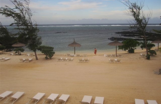 Galleria fotografica






Da sinistra, Federico Zanasi, Luca D’Amora e Moreno Cedroni. Dalle Marche alle Mauritius








A destra, Federico Zanasi con gli altri due chef del Long Beach. Oltre a Sapori e Hasu, diretti dai cuochi italiani, il resort ospita Chopsticks (cucina cinese), Tides (cucina di mare d'impronta francese) e Le Marchè (buffet e colazioni)








Il tunnel sotterraneo del resort. Ai lati, le stanze in cui si prepara la materia prima da spedire ai vari ristoranti di sopra








Pesci oceanici mauriziani. Su tutti dominano gli snapper, red o white, lontani parenti del dentice








I mercati di frutta e verdura mauriziani sono molto ricchi. La pugliese Antonella Ricci e il marito Vinod Sokar, mauriziano, moglie e marito e cuochi del Fornello da Ricci di Ceglie Messapica (Brindisi) consigliano i mercati di Quatre Bornes, Curepipe e Rose Hil. Vi regna il cibo da strada come l'ubiquo dhal puri, pane indiano alle lenticchie, che può essere farcito a piacere








Sapori, insegna di cucina italiana sovrintesa da Cedroni e Zanasi. In carta insalata, pasta, risotti, lasagne e pizza








Federico Zanasi davanti all'ingresso dell'Hasu








Il Carpaccio di cocomero dell'Hasu, il ristorante giapponese del Long Beach, chef Moreno Cedroni. La tecnica di essiccamento del cocomero prende spunto da uno stratagemma di Andoni, cuoco del Mugaritz nei Paesi Baschi (chiediamo venia per la foto pessima)








Ostriche, sorbetto di ostriche e perle di tè Lapsang Souchong. L'isola di Mauritius è piena di questi piccoli molluschi di scoglio, minuscoli ma molto saporiti








Al Long Beach pane e brioches non sono niente male, compito non semplice, considerando la grande umidità. Visto il traffico della clientela, i panificatori sono in perenne movimento








Polipo cotto sottovuoto, salsa verde, gelatina di pane in agrodolce e maionese di acqua di polipo, piatto dell'Hasu








Gelato alle foglie di curry, mousse al cocco, terra di cioccolato e soda di succo di guava di Federico Zanasi. Il piatto potrebbe finire in carta al Clandestino di Portonovo, apertura 30 aprile 2012. Il tema di quest'anno? "Sushi fiaboloso", tutto ispirato alle fiabe








Piadini Rimini, una delle 3 in carta al ristorante italiano Sapori: mozzarella, prosciutto italiano, acciughe e insalata








Una spiaggia riparata del Long Beach: l'isola di Mauritius alterna roccia lavica a sabbia corallina








A riva non vola una cartaccia








Il Long Beach conta su 255 stanze tra suite, appartamenti e villas





