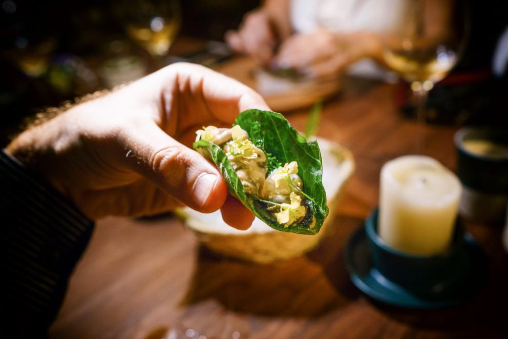 Galleria fotograficaChampagne&nbsp;Louis Roederer&nbsp;2009, Blanc de blancs
Pi&ntilde;uela e tamarindo
Pi&ntilde;uela&nbsp;e tamarindo, da vicino
Vongola regina dal golfo di California
La vongola da vicino
Saluto con pomodori disidratati e chapulines&nbsp;
Brodo freddo di masa con lime e fiori del momento
Mead, birrificio&nbsp;Escollo, stato di&nbsp;Quer&eacute;taro
Cocco giovane e caviale
Vino: Presencia Casual 2014, da uve Semillon,&nbsp;Luis-Antoine Luyt, Cile
Frutta tropicale e Chile de arbol (peperoncino Coda di topo)
Frutta locale
Ceviche di banana e olio di alghe kelp
Alga kelp gigante e michelada di cozze
Taco di spinaci Chaya&nbsp;con ostriche fresche dalla Bahia Falsa (Baja California)
