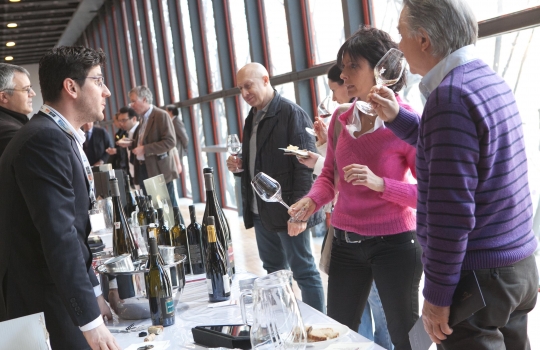 Galleria fotografica








